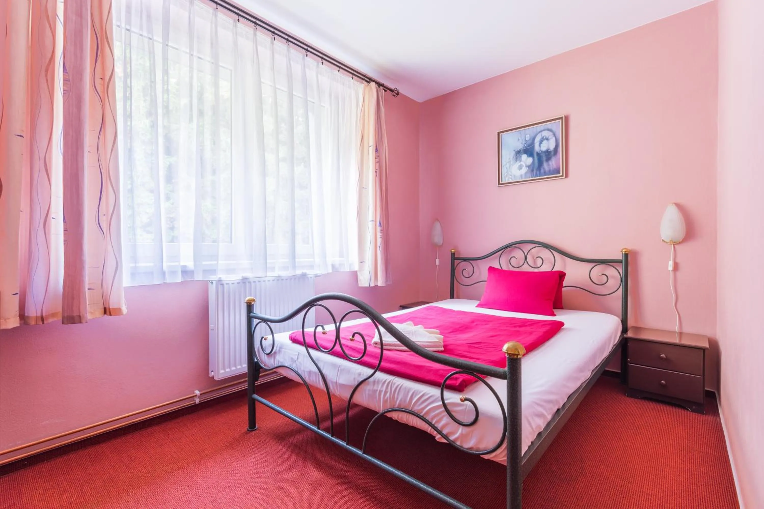 Bed in Hotel&Wellness Knížecí rybník