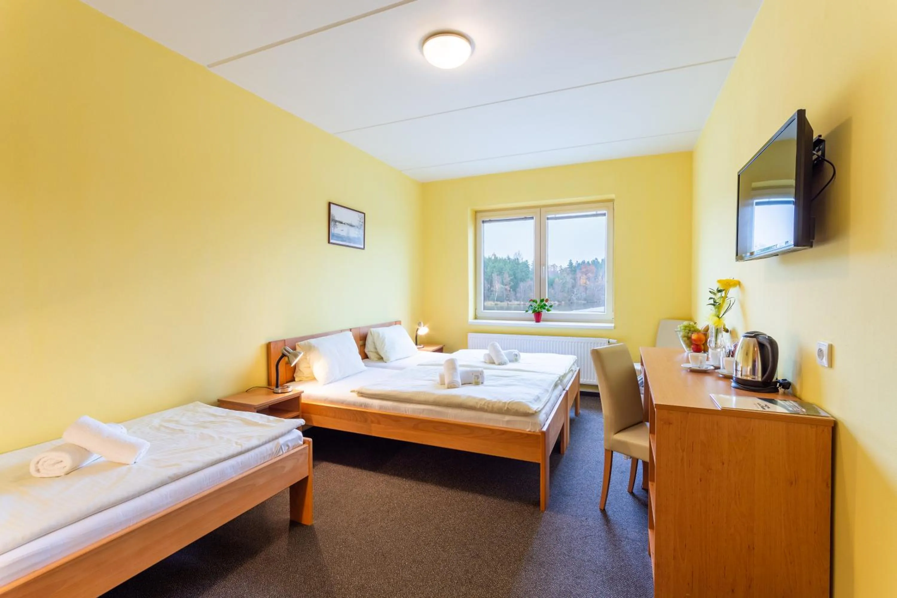 Bed in Hotel&Wellness Knížecí rybník