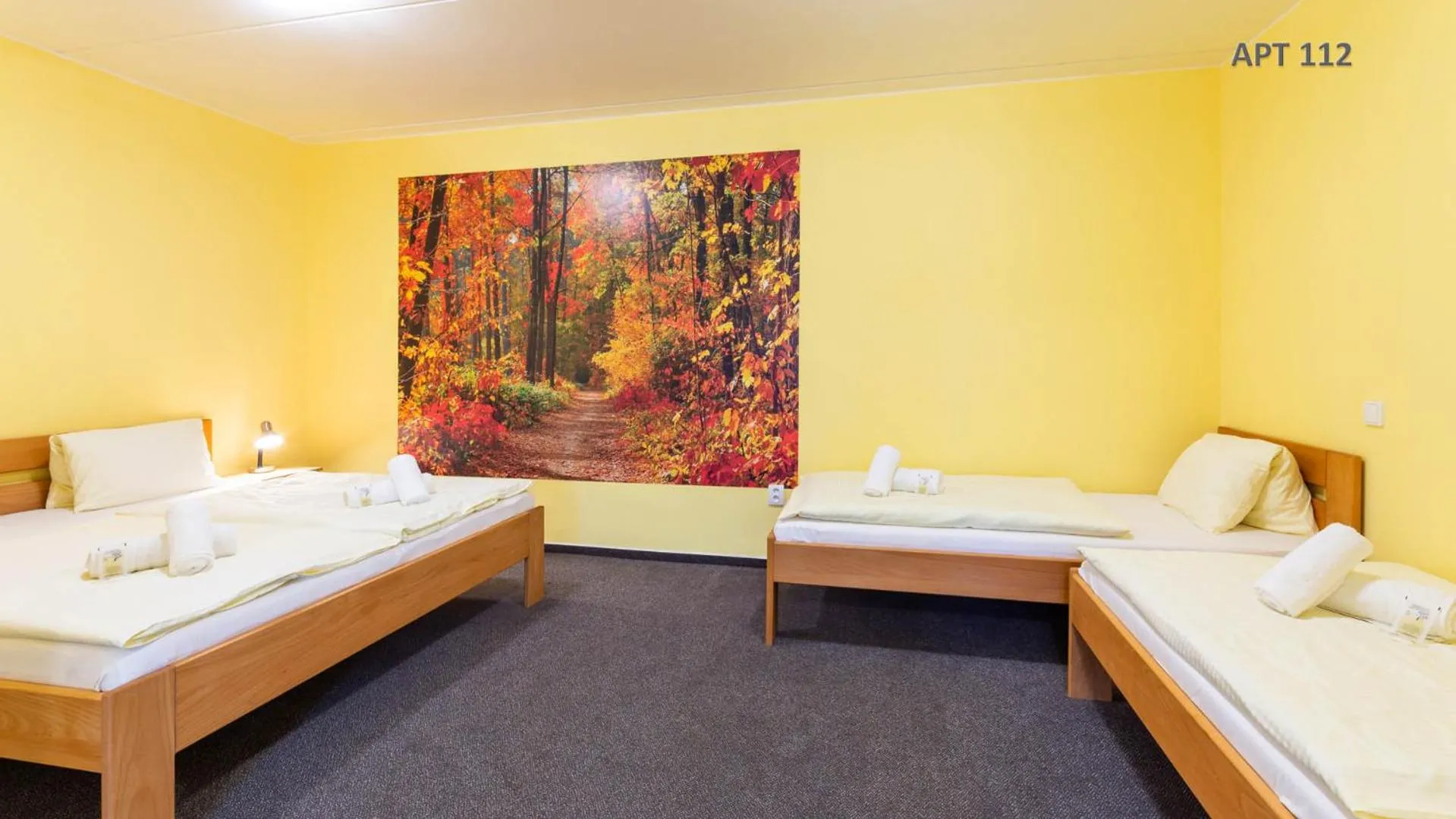 Bed in Hotel&Wellness Knížecí rybník