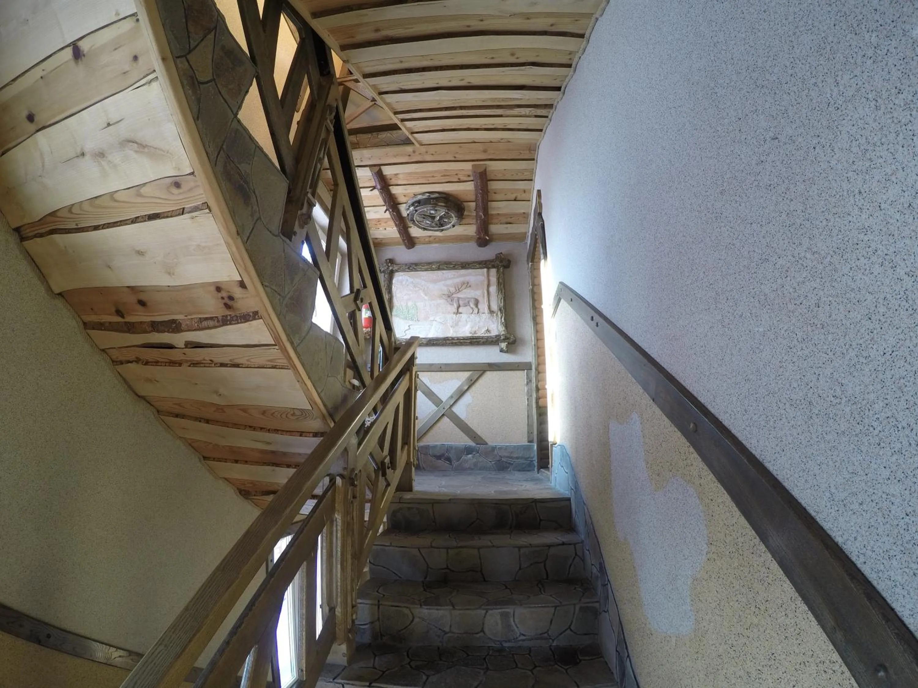 Facade/entrance in Zatyshok nad Prutom