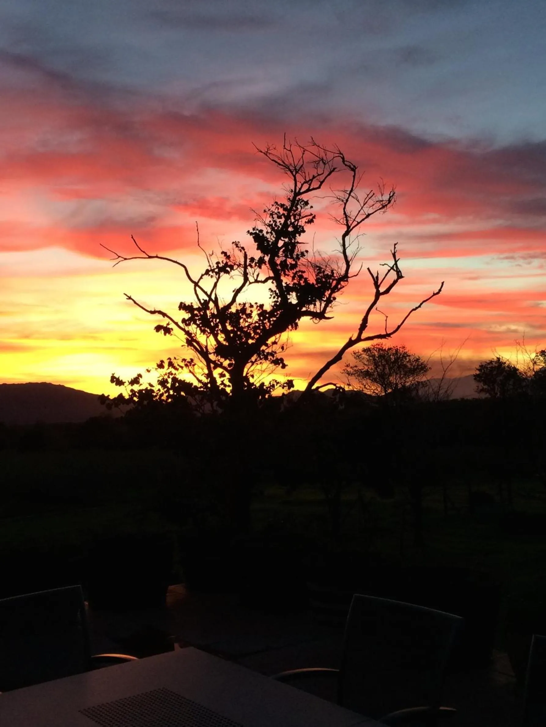 Sunset in Fraaigelegen Farm - Home of ADHARA EVOO
