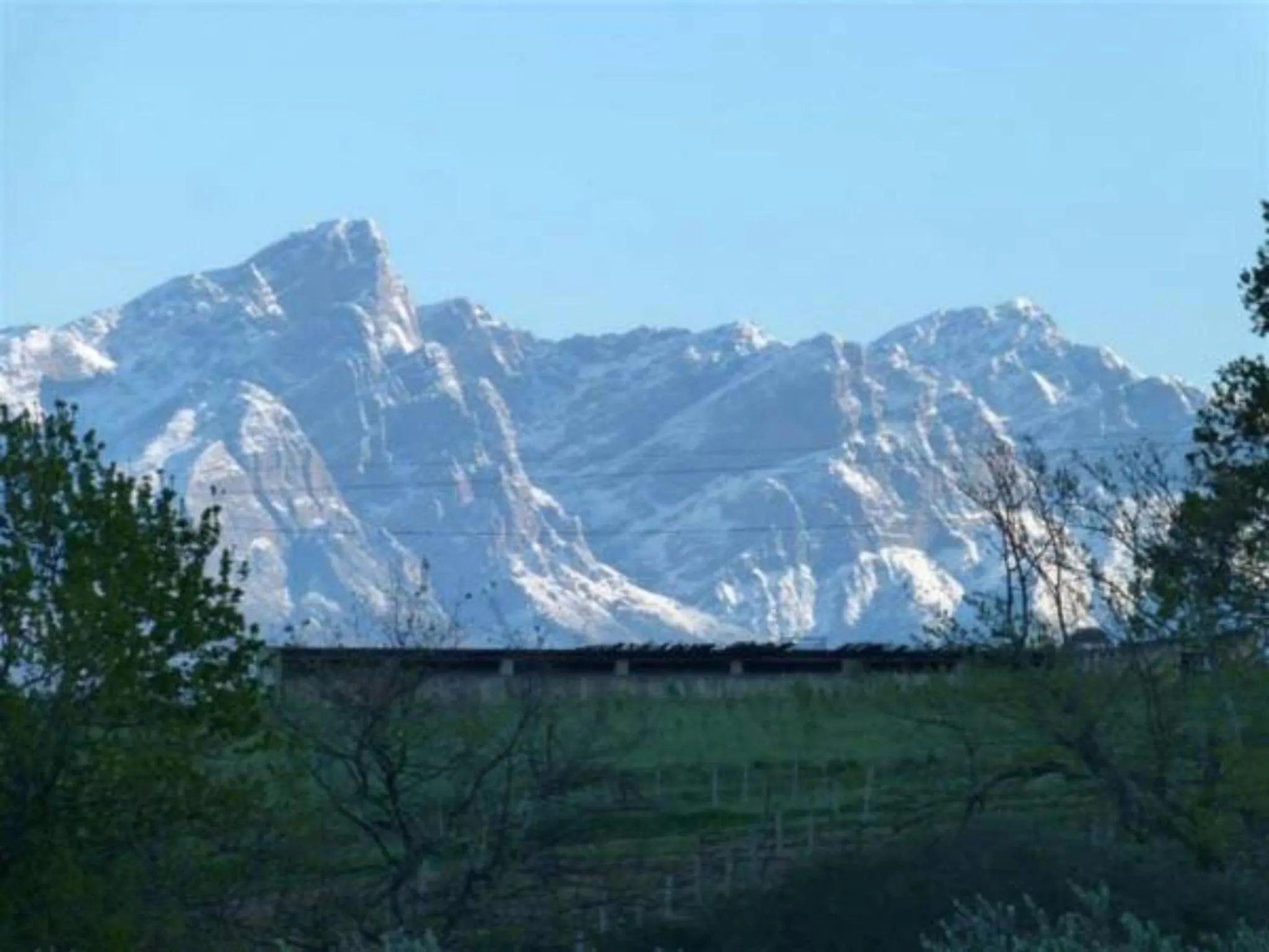 Winter in Fraaigelegen Farm - Home of ADHARA EVOO