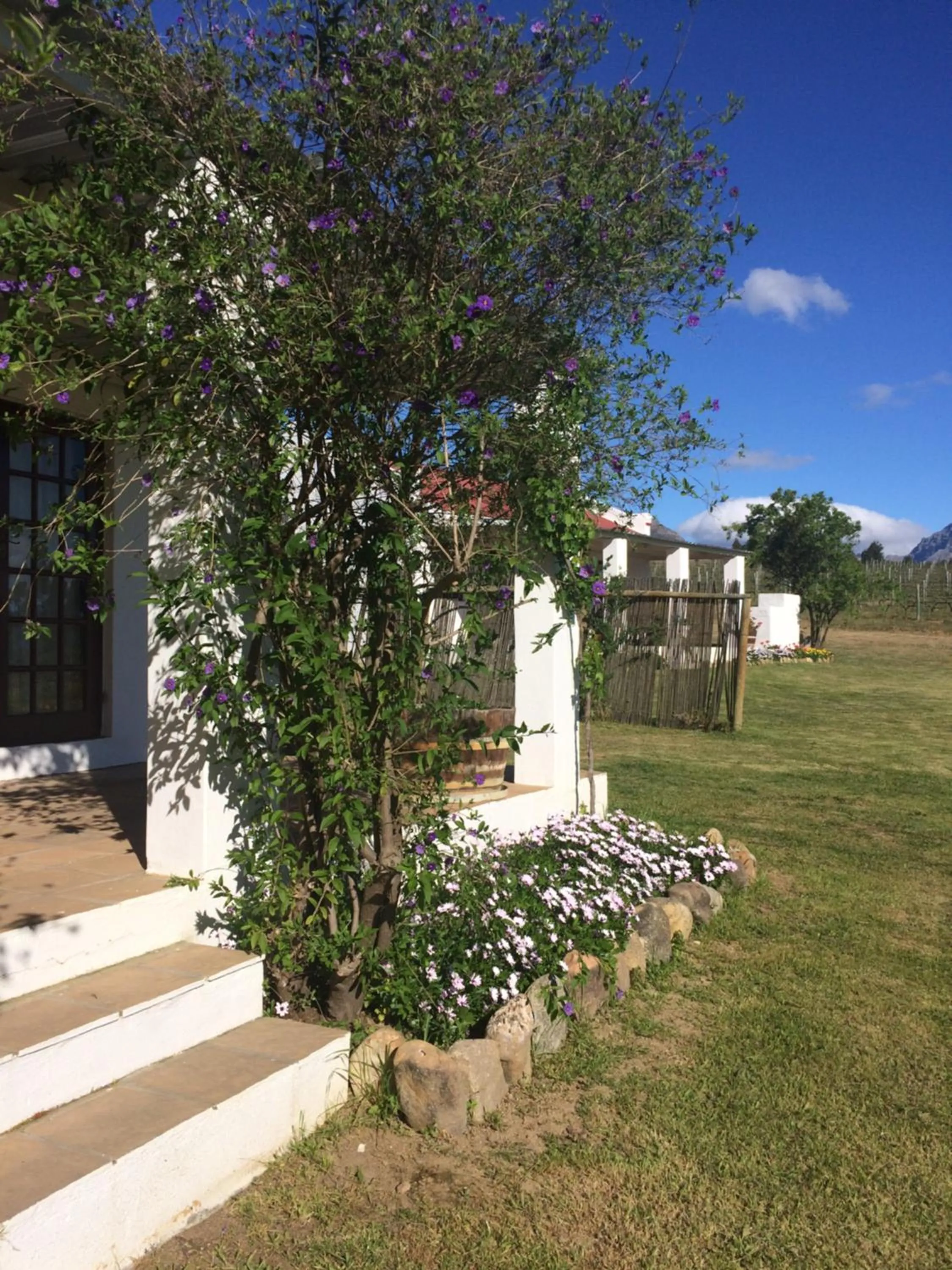 Balcony/Terrace in Fraaigelegen Farm - Home of ADHARA EVOO