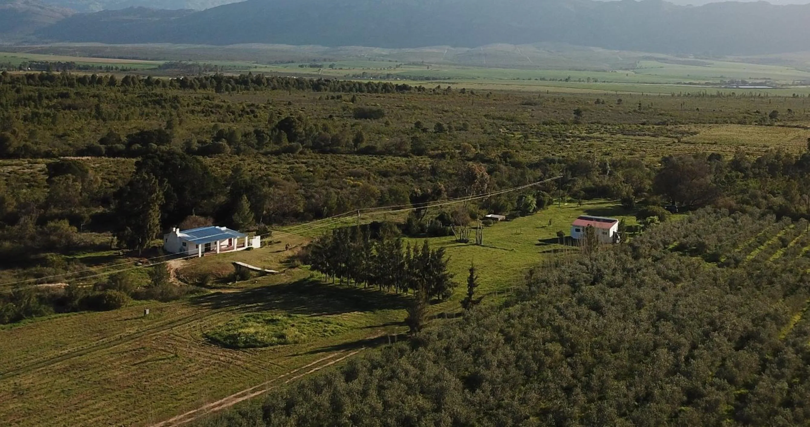 View (from property/room) in Fraaigelegen Farm - Home of ADHARA EVOO