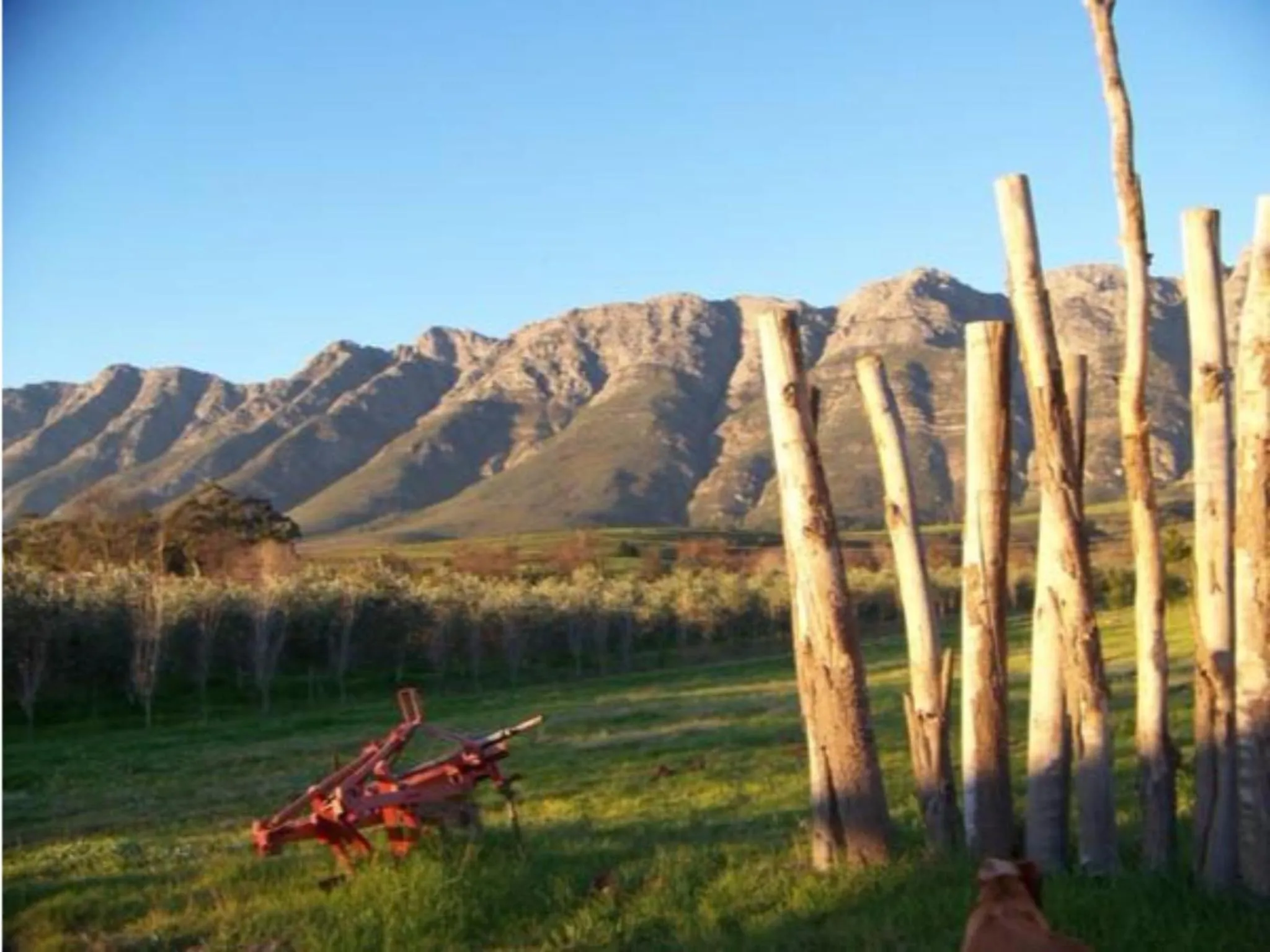Mountain view in Fraaigelegen Farm - Home of ADHARA EVOO