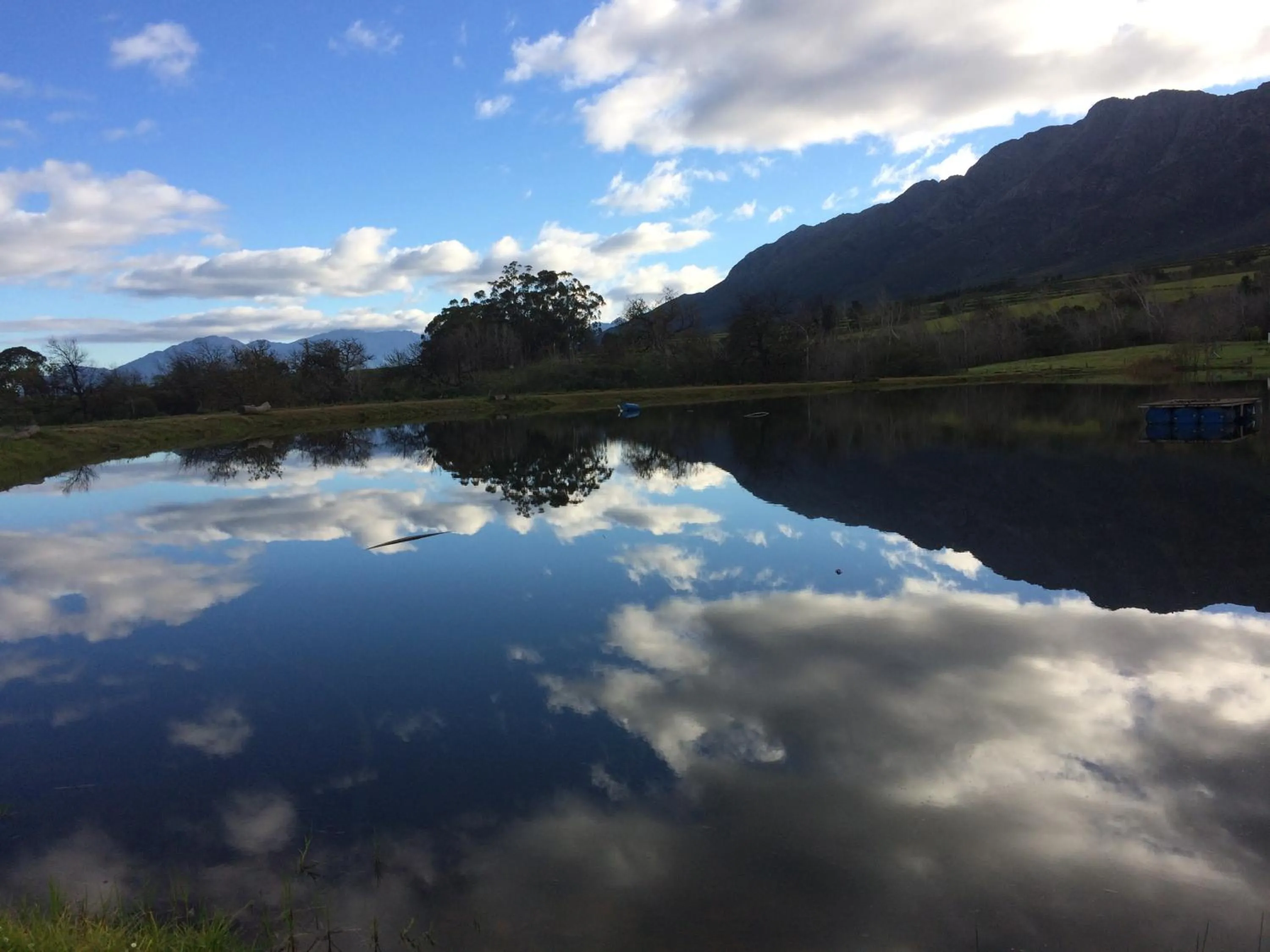 Lake view in Fraaigelegen Farm - Home of ADHARA EVOO