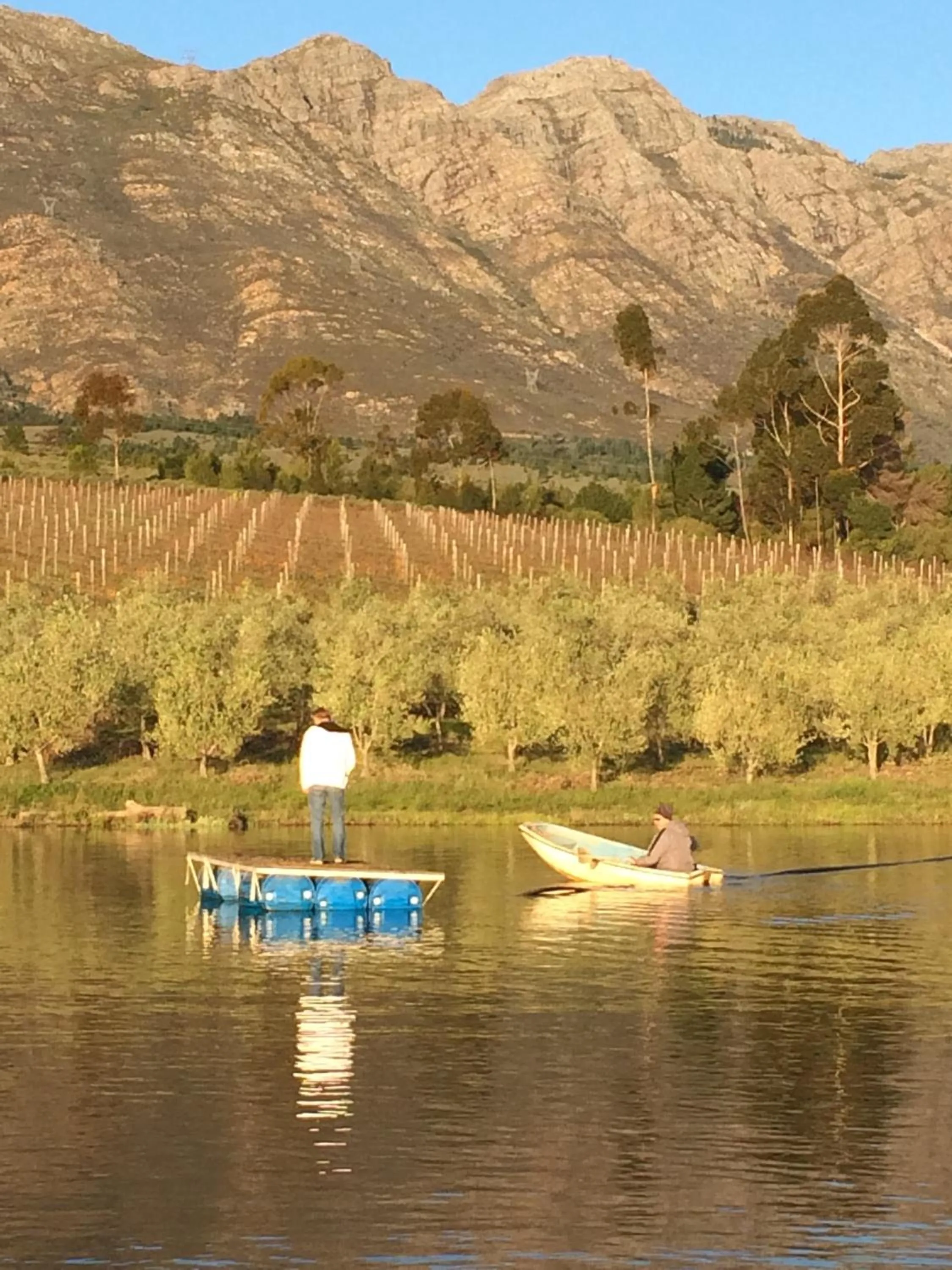 Area and facilities in Fraaigelegen Farm - Home of ADHARA EVOO