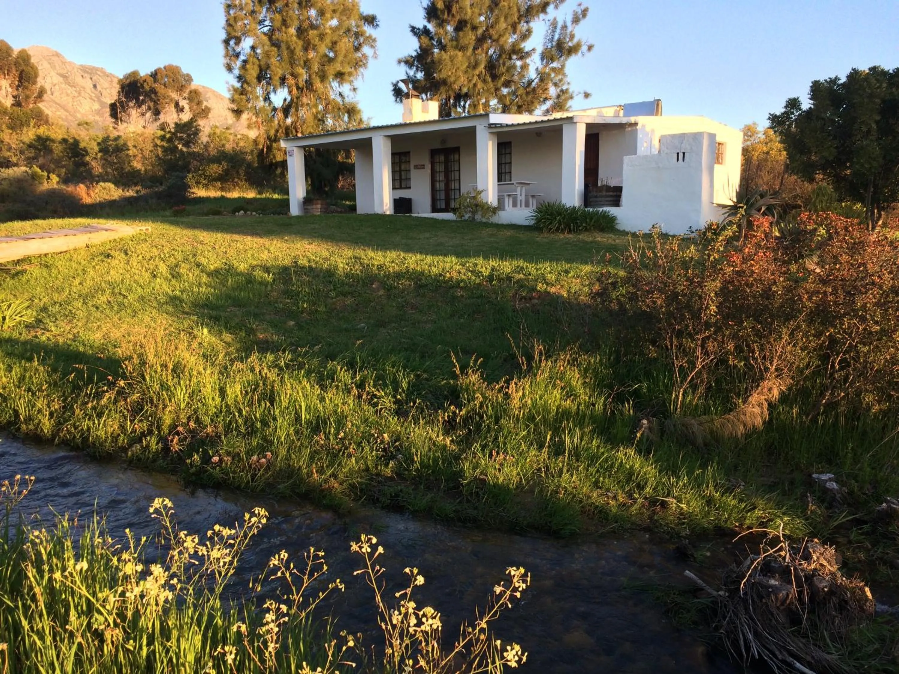Natural landscape in Fraaigelegen Farm - Home of ADHARA EVOO