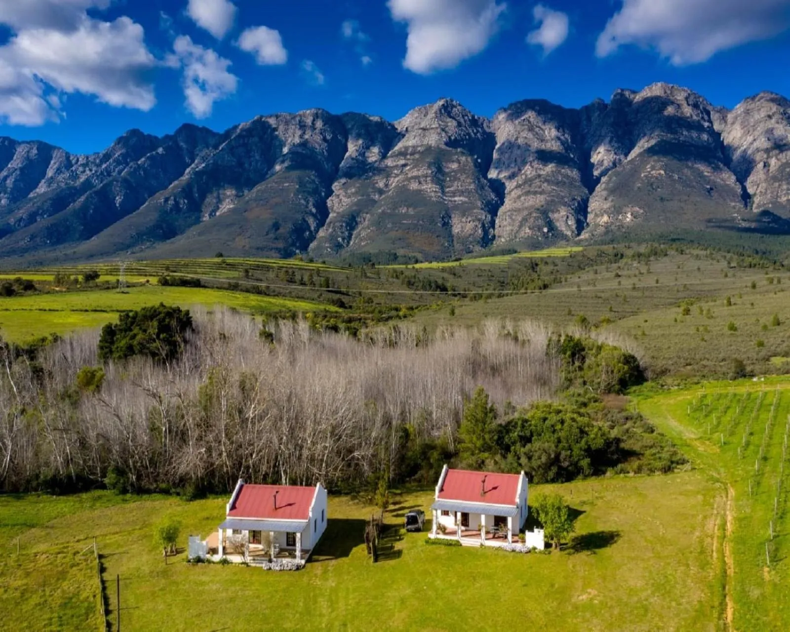 Mountain view in Fraaigelegen Farm - Home of ADHARA EVOO