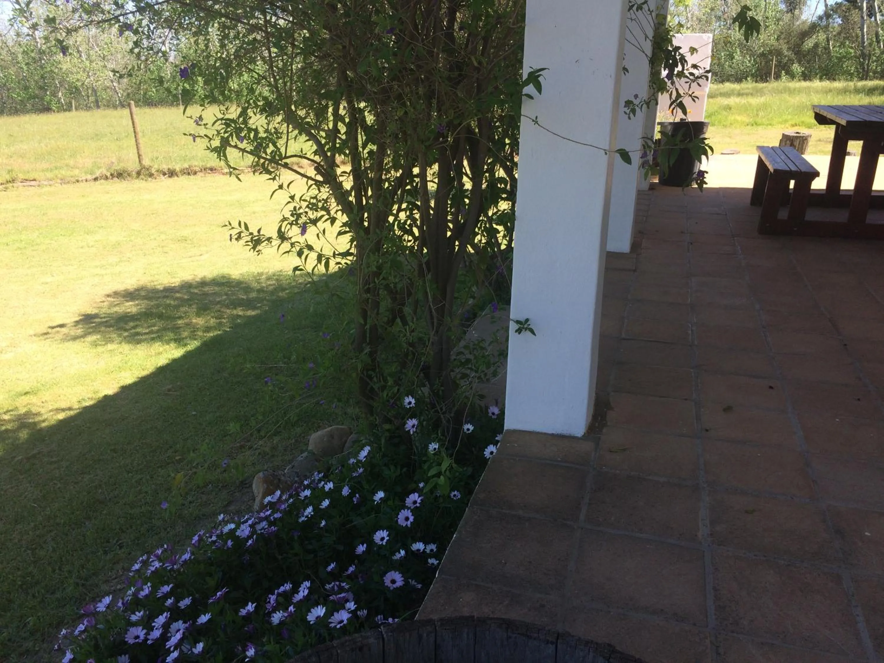 Balcony/Terrace in Fraaigelegen Farm - Home of ADHARA EVOO