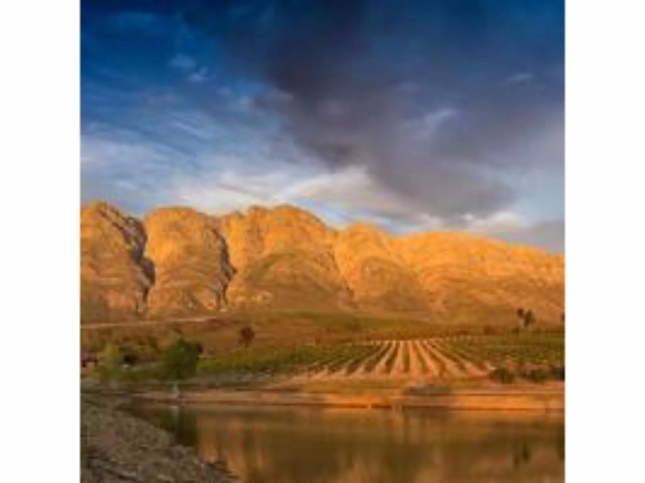 Lake view in Fraaigelegen Farm - Home of ADHARA EVOO