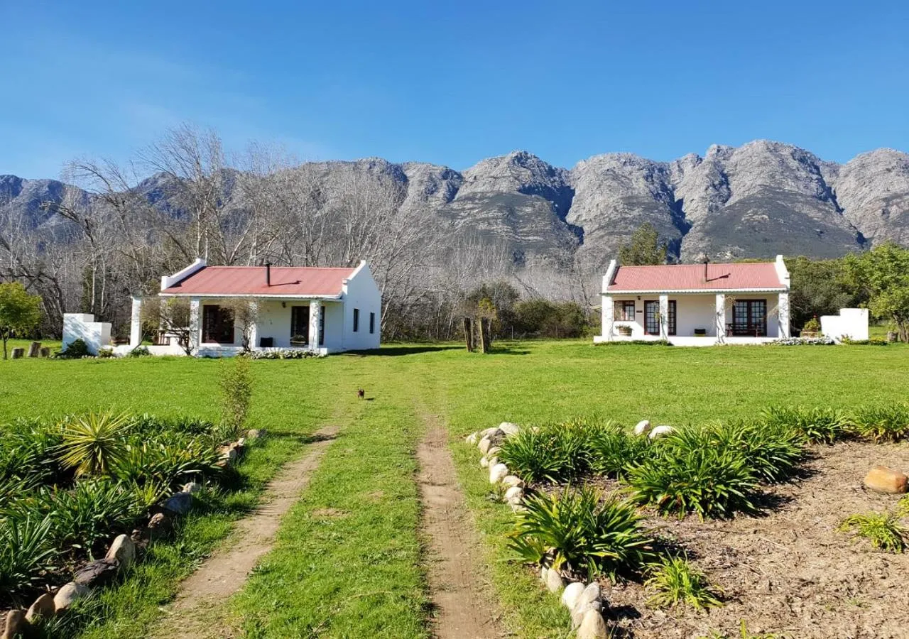 Mountain view in Fraaigelegen Farm - Home of ADHARA EVOO