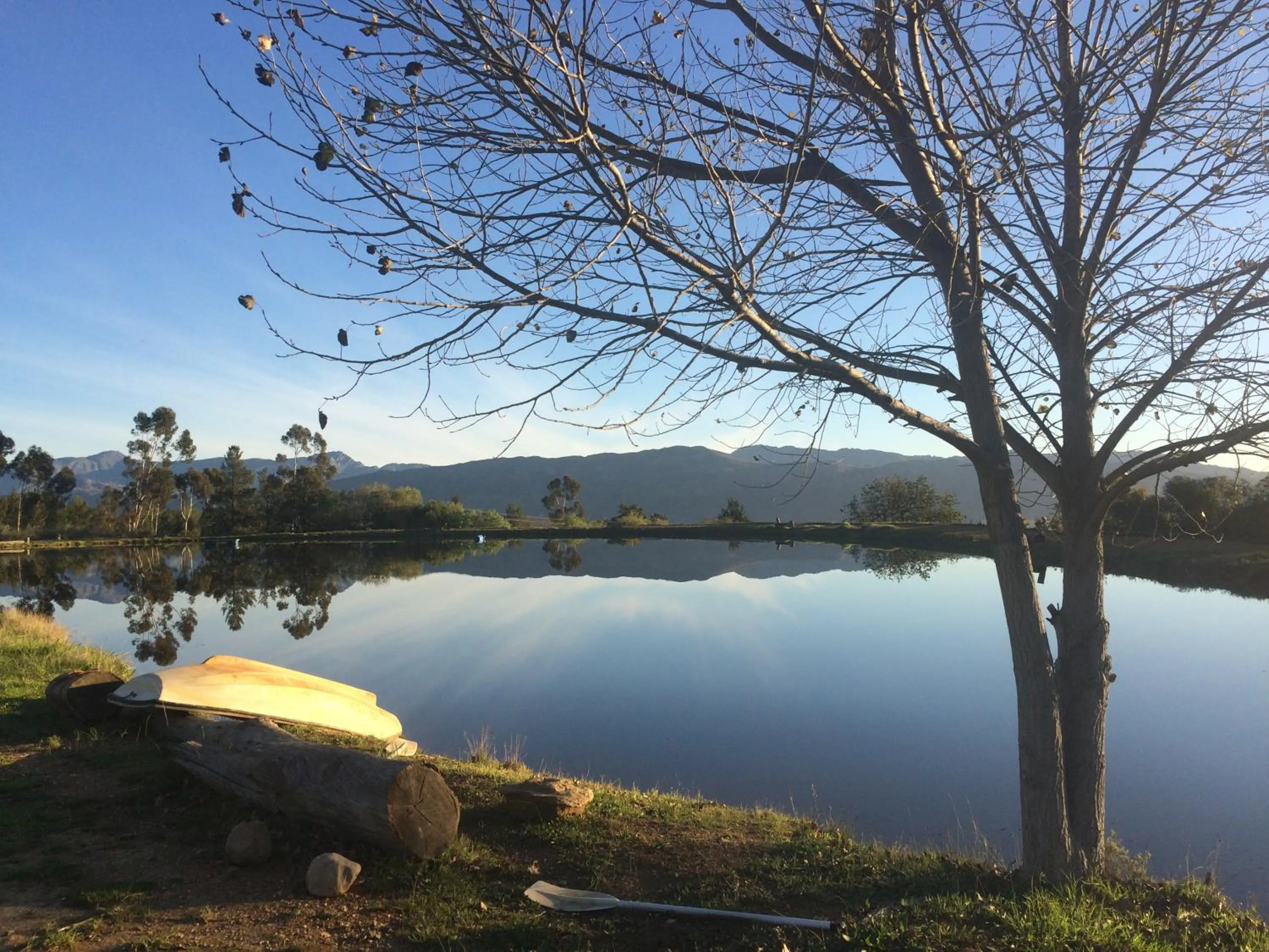 Lake view in Fraaigelegen Farm - Home of ADHARA EVOO
