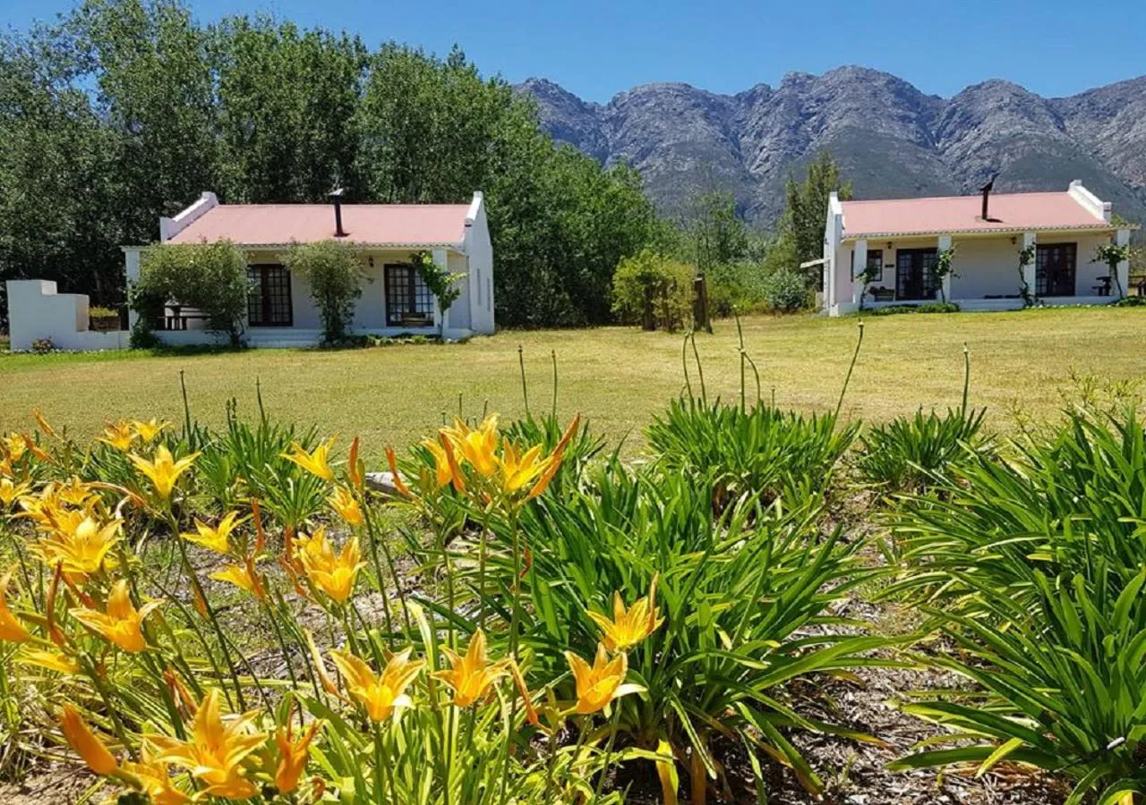 Garden view in Fraaigelegen Farm - Home of ADHARA EVOO