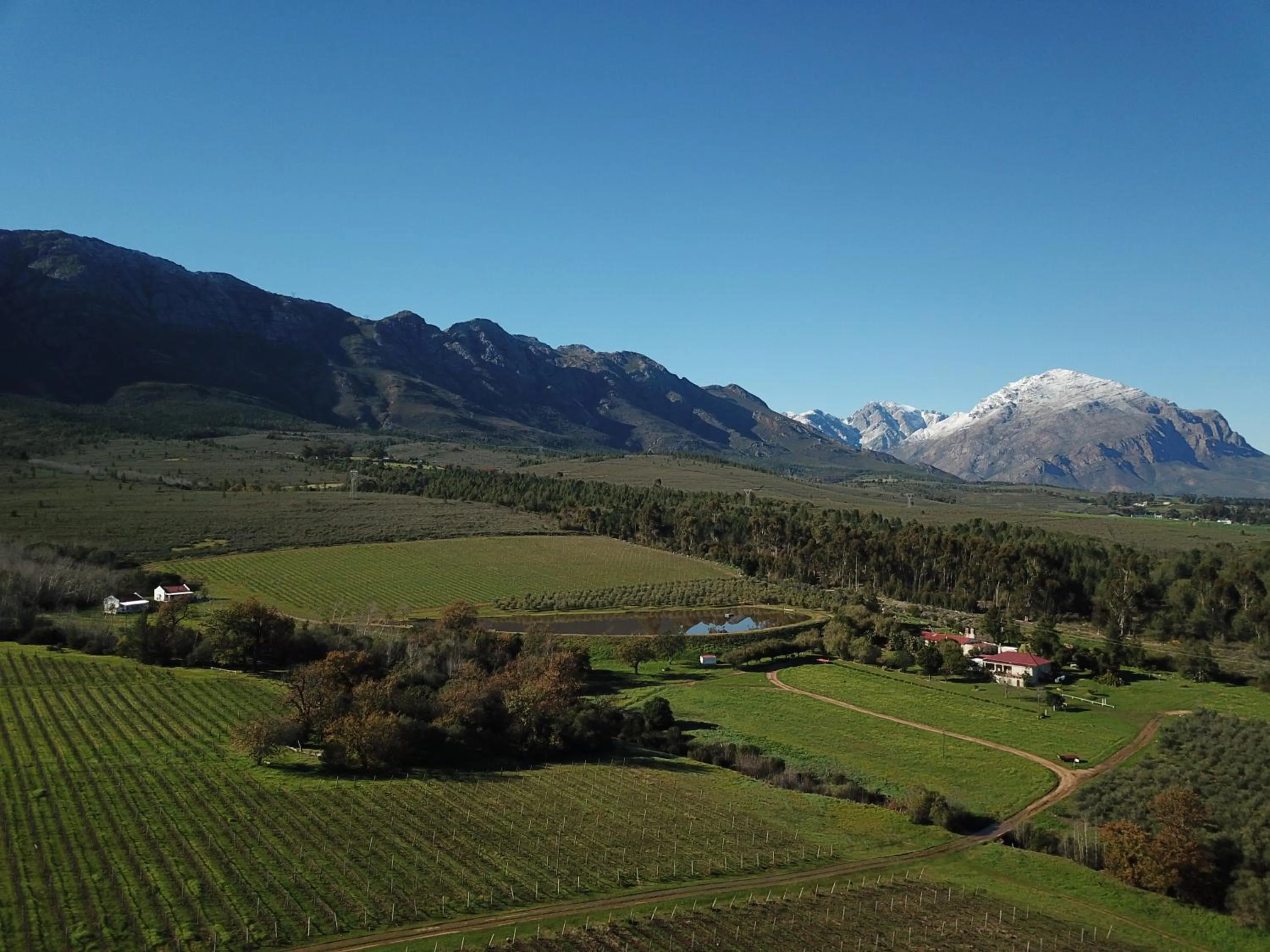 Winter in Fraaigelegen Farm - Home of ADHARA EVOO