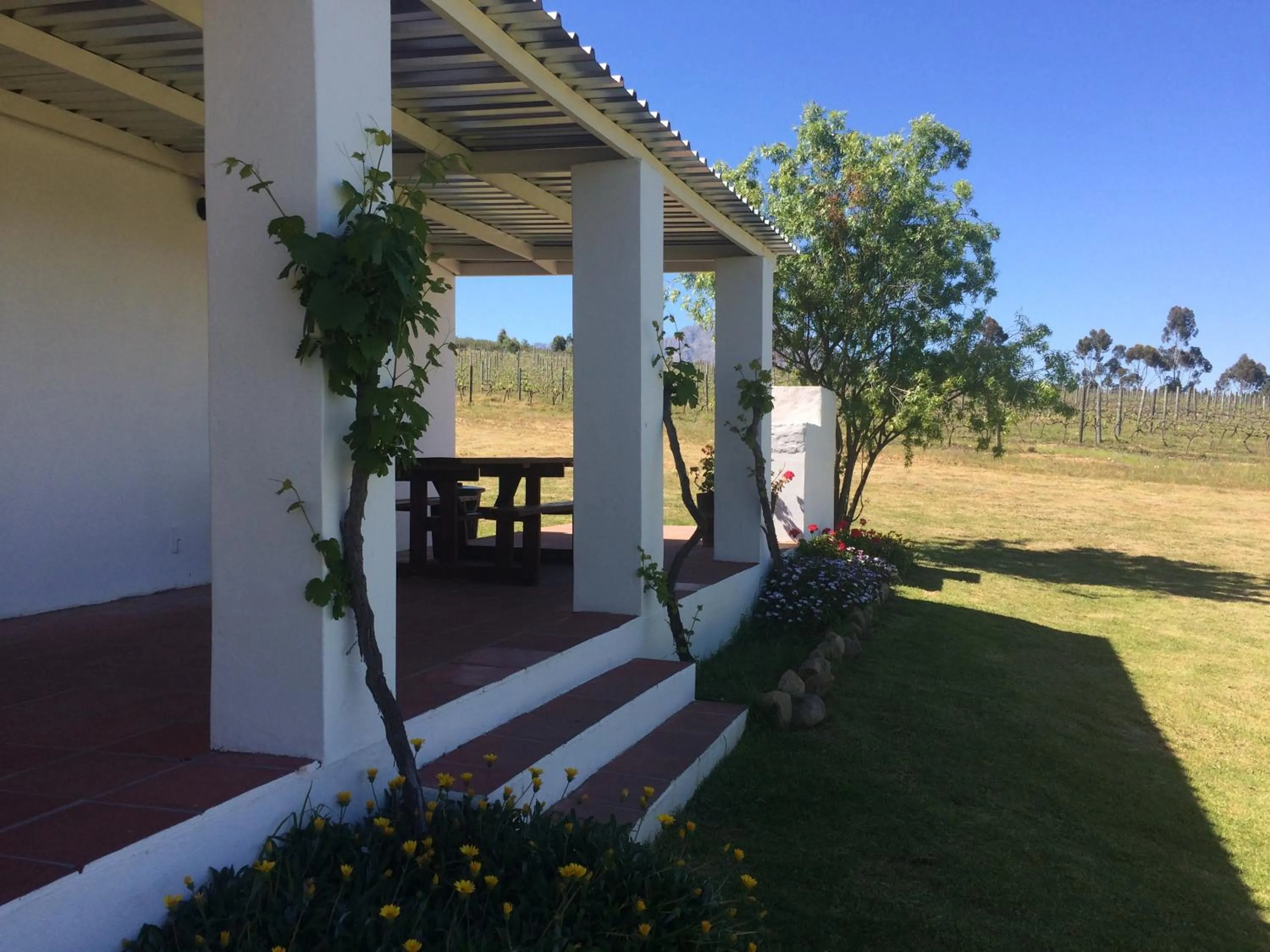 BBQ facilities in Fraaigelegen Farm - Home of ADHARA EVOO
