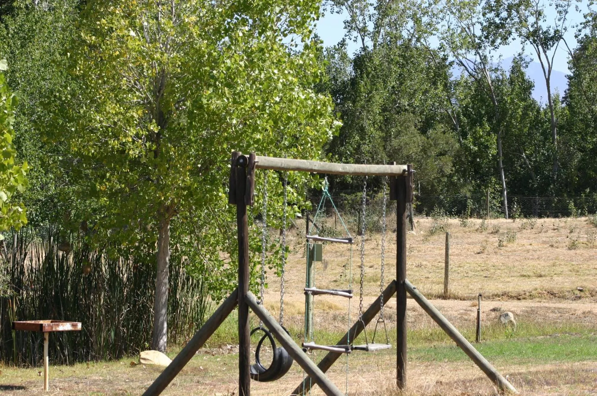 Area and facilities in Fraaigelegen Farm - Home of ADHARA EVOO