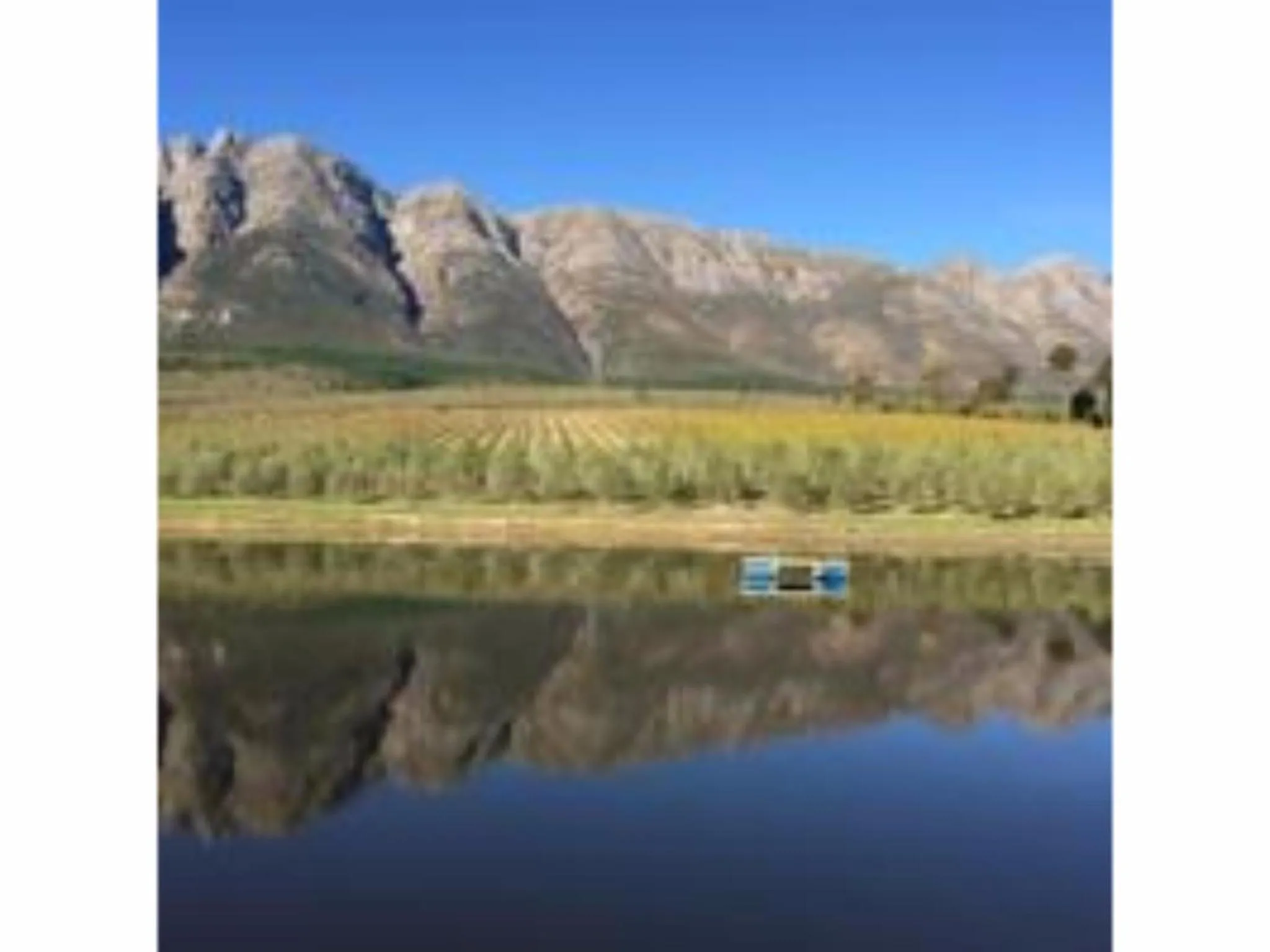 Lake view in Fraaigelegen Farm - Home of ADHARA EVOO