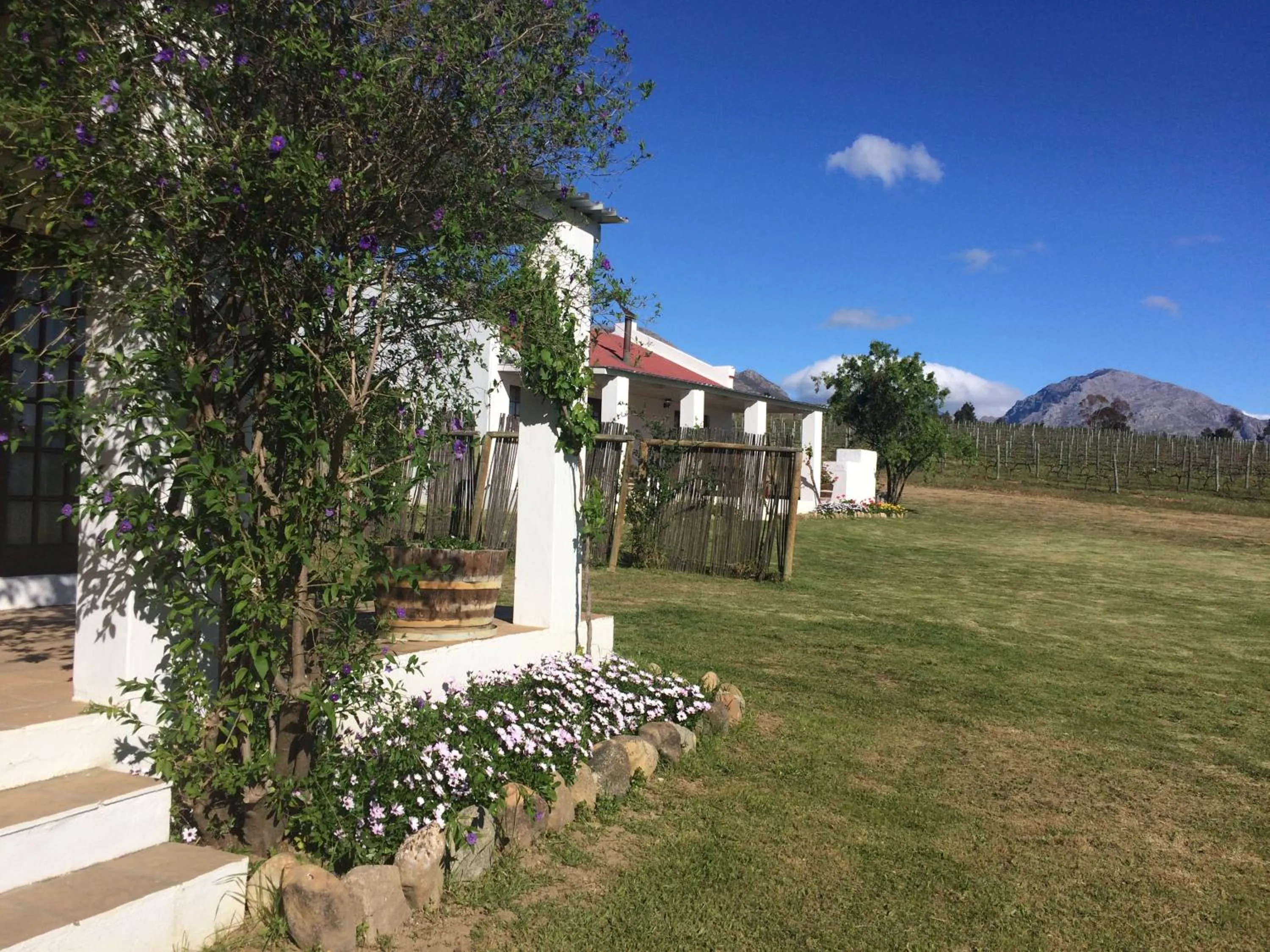 BBQ facilities in Fraaigelegen Farm - Home of ADHARA EVOO