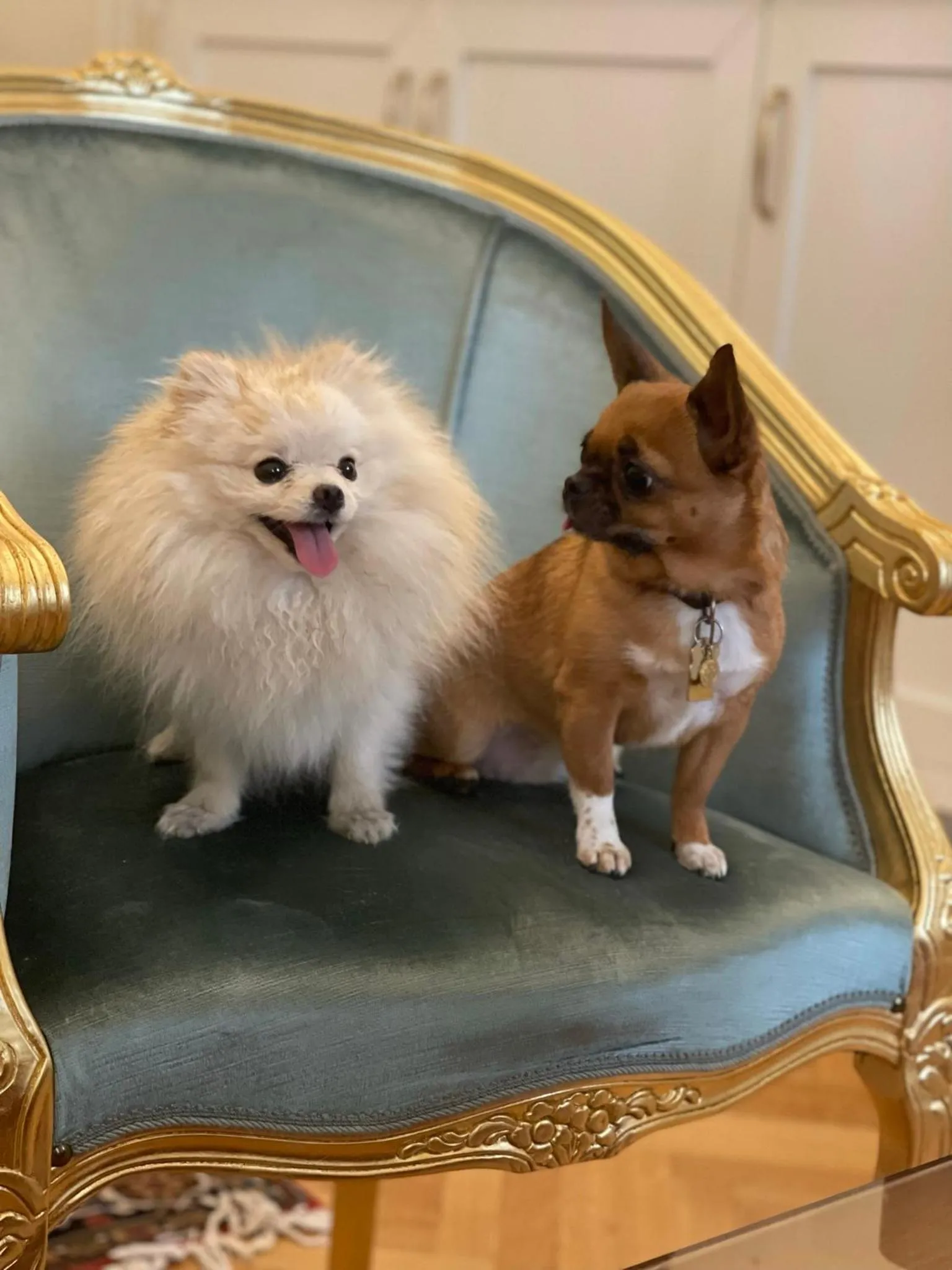 People in Palazzo Monga Boutique Guesthouse