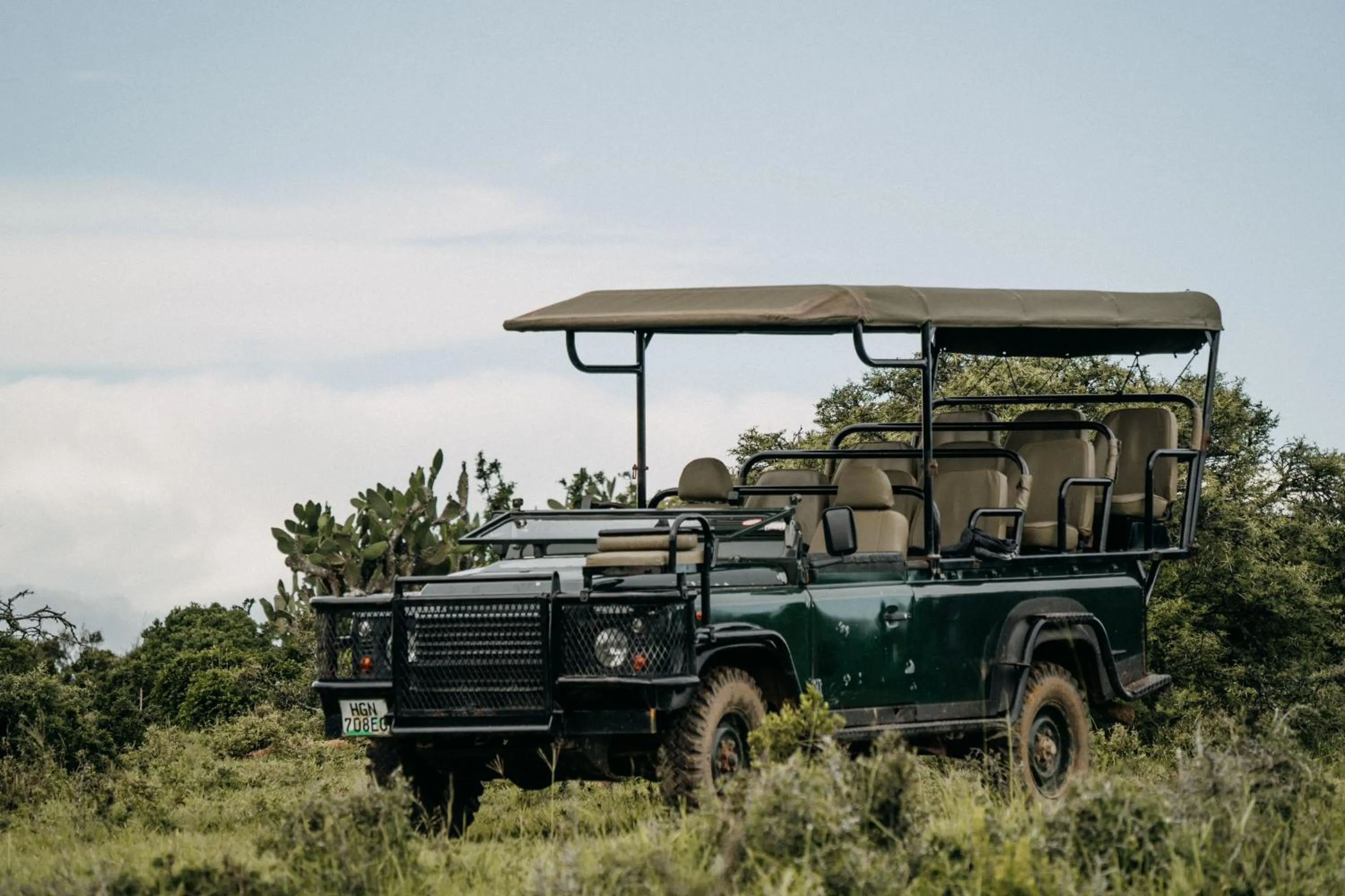 Activities in Addo Elephant Safari Lodge - Bellevue Forest Reserve