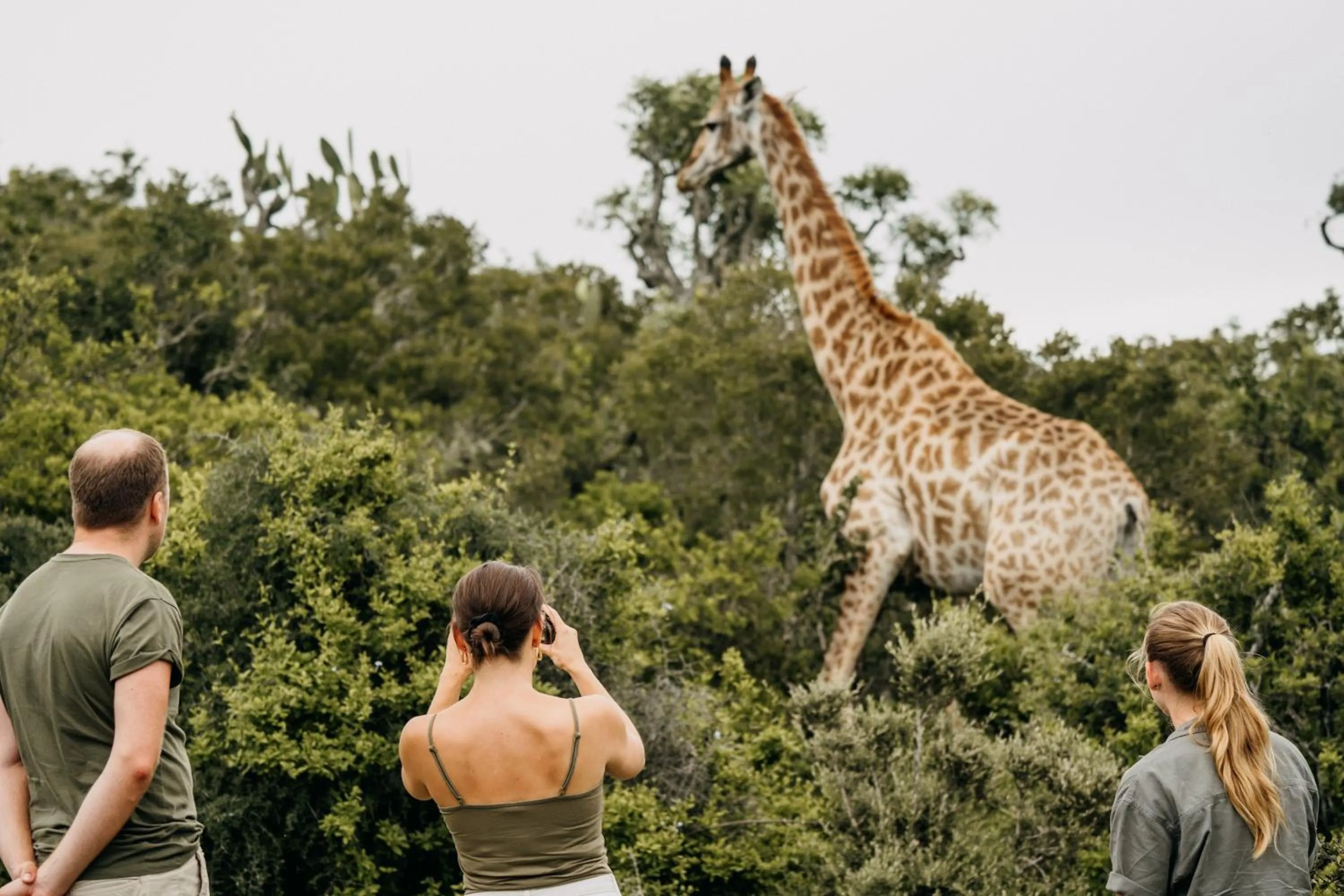People in Addo Elephant Safari Lodge - Bellevue Forest Reserve
