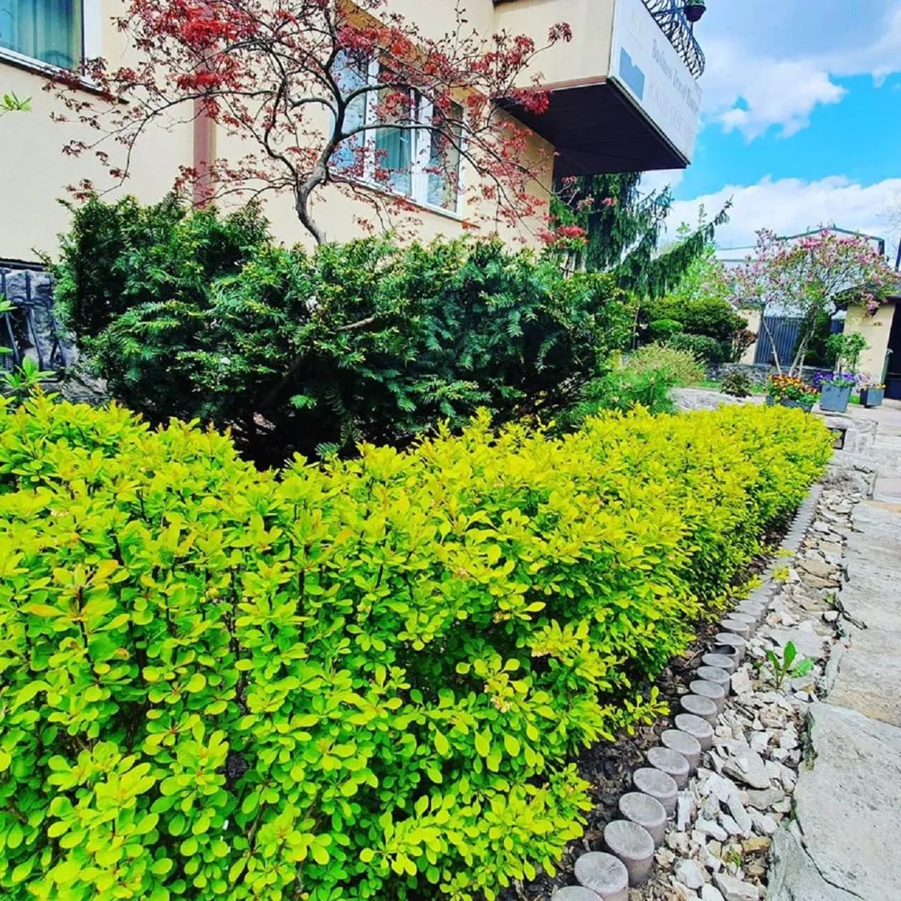 Garden in BTHouse, Pokoje Gościnne
