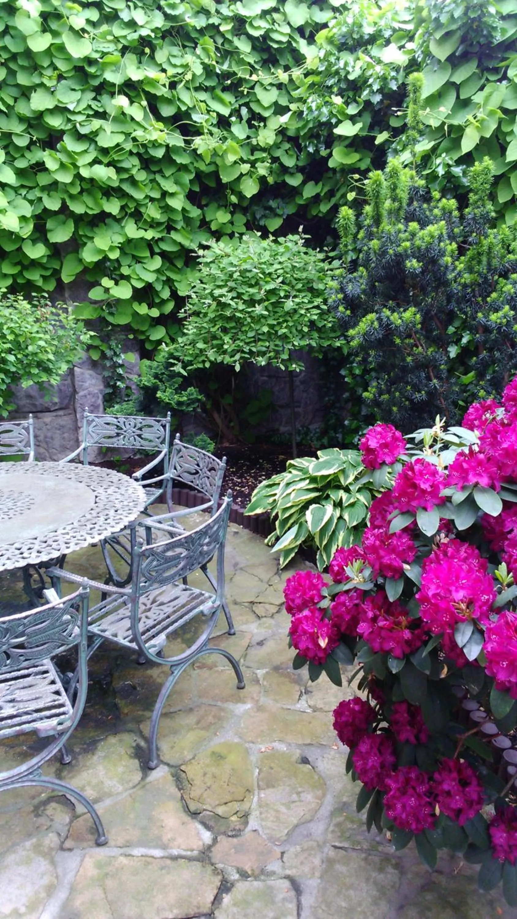 Patio in BTHouse, Pokoje Gościnne