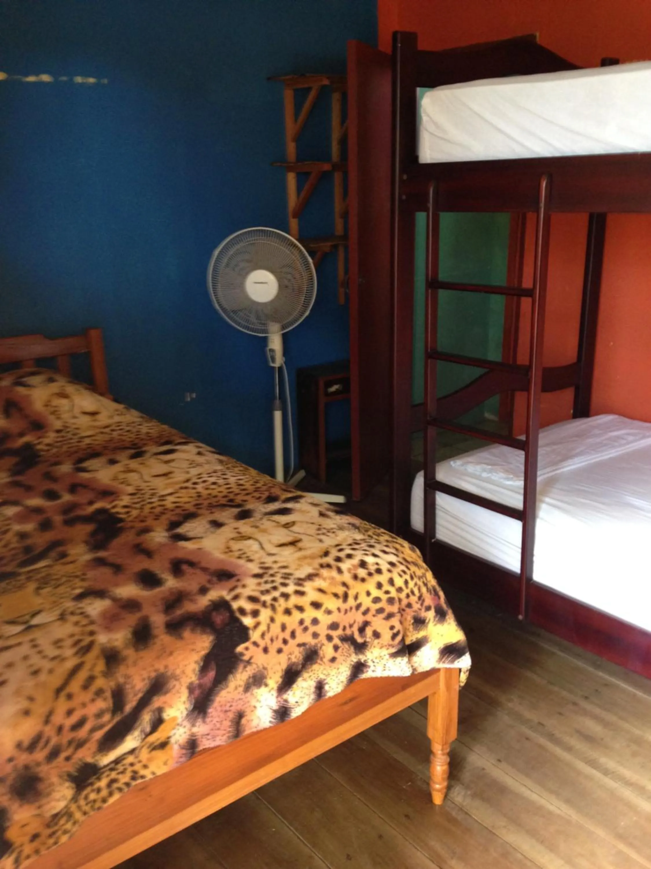 Bed in Hostal Surf Olón