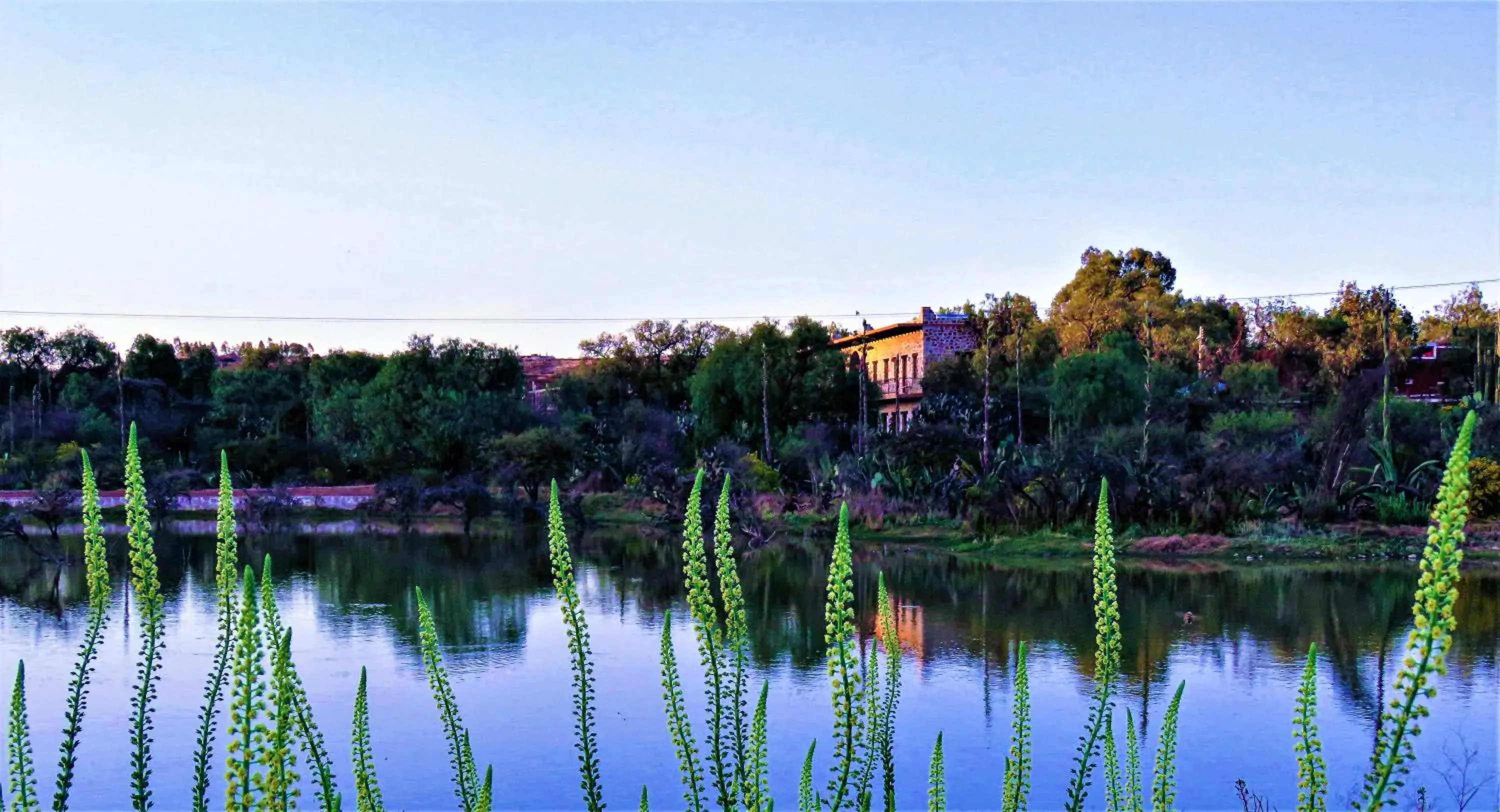 Hacienda Tovares Hacienda Tovares