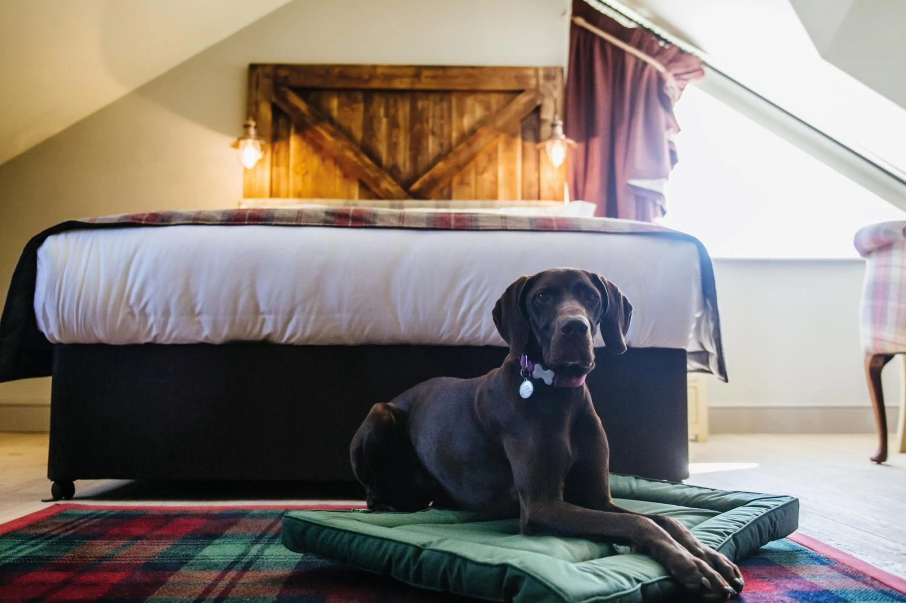 Pets in The Crown Inn Pooley Bridge