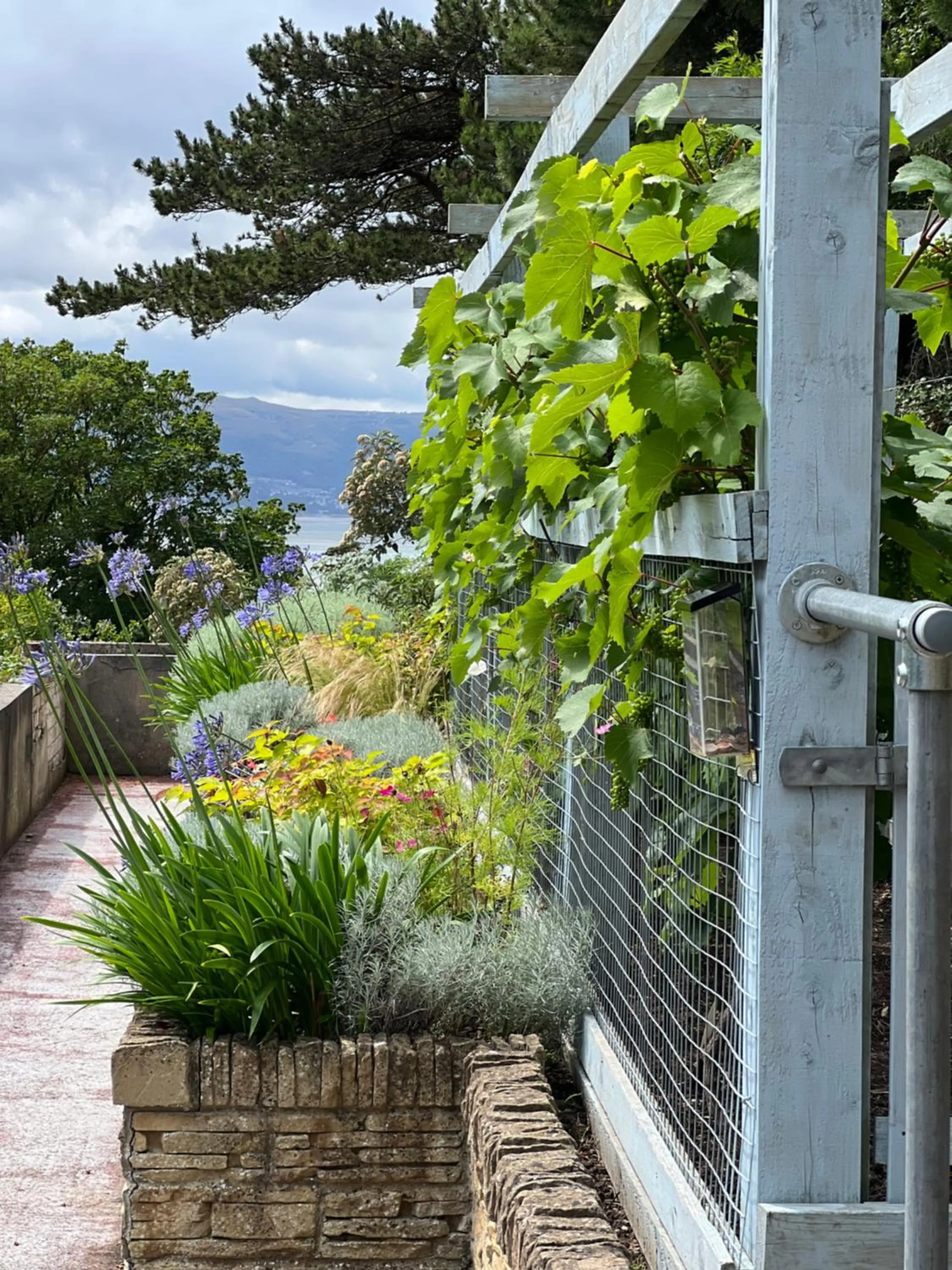 Natural landscape in Merrion Hotel