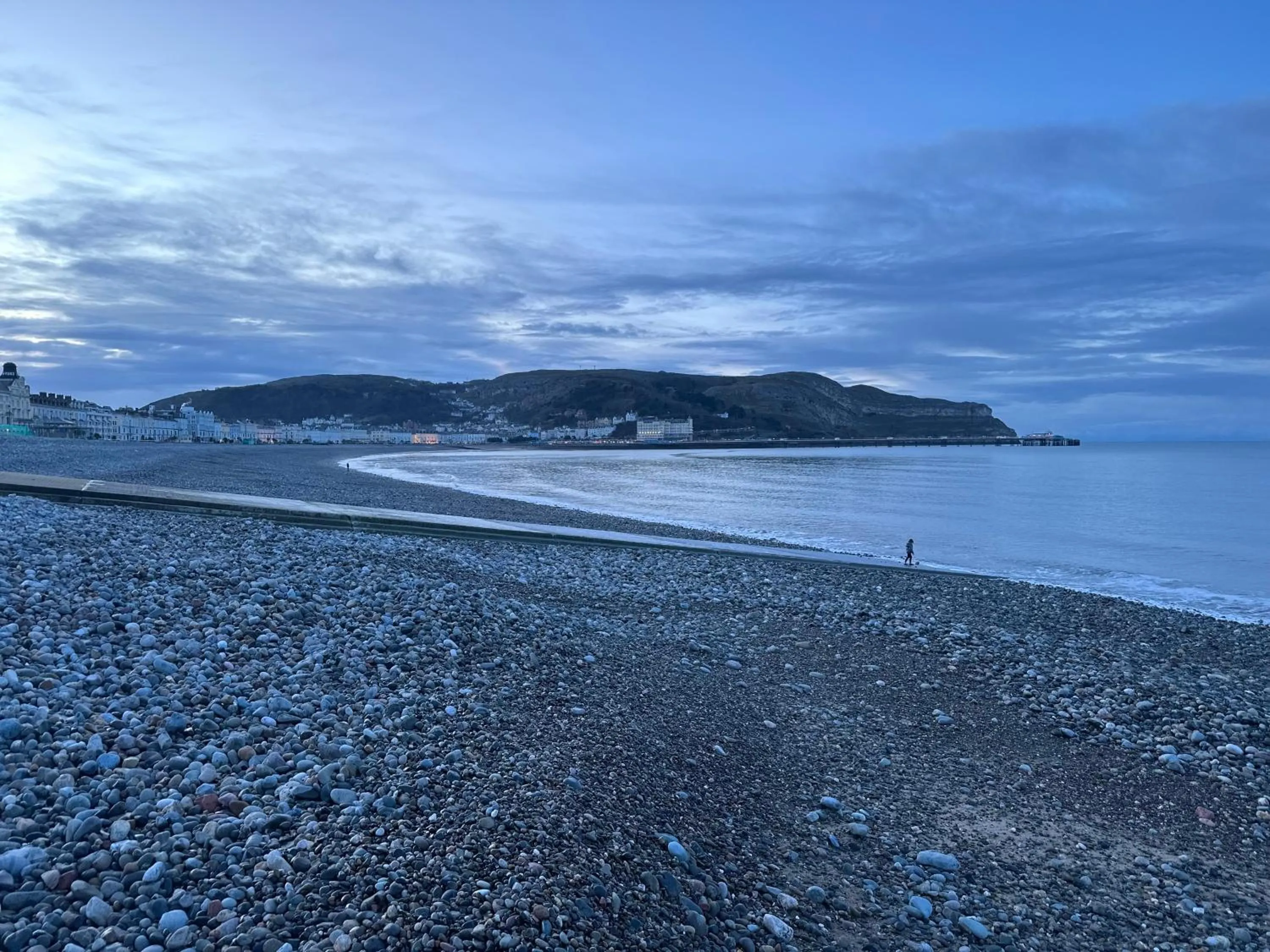 Natural landscape in Merrion Hotel