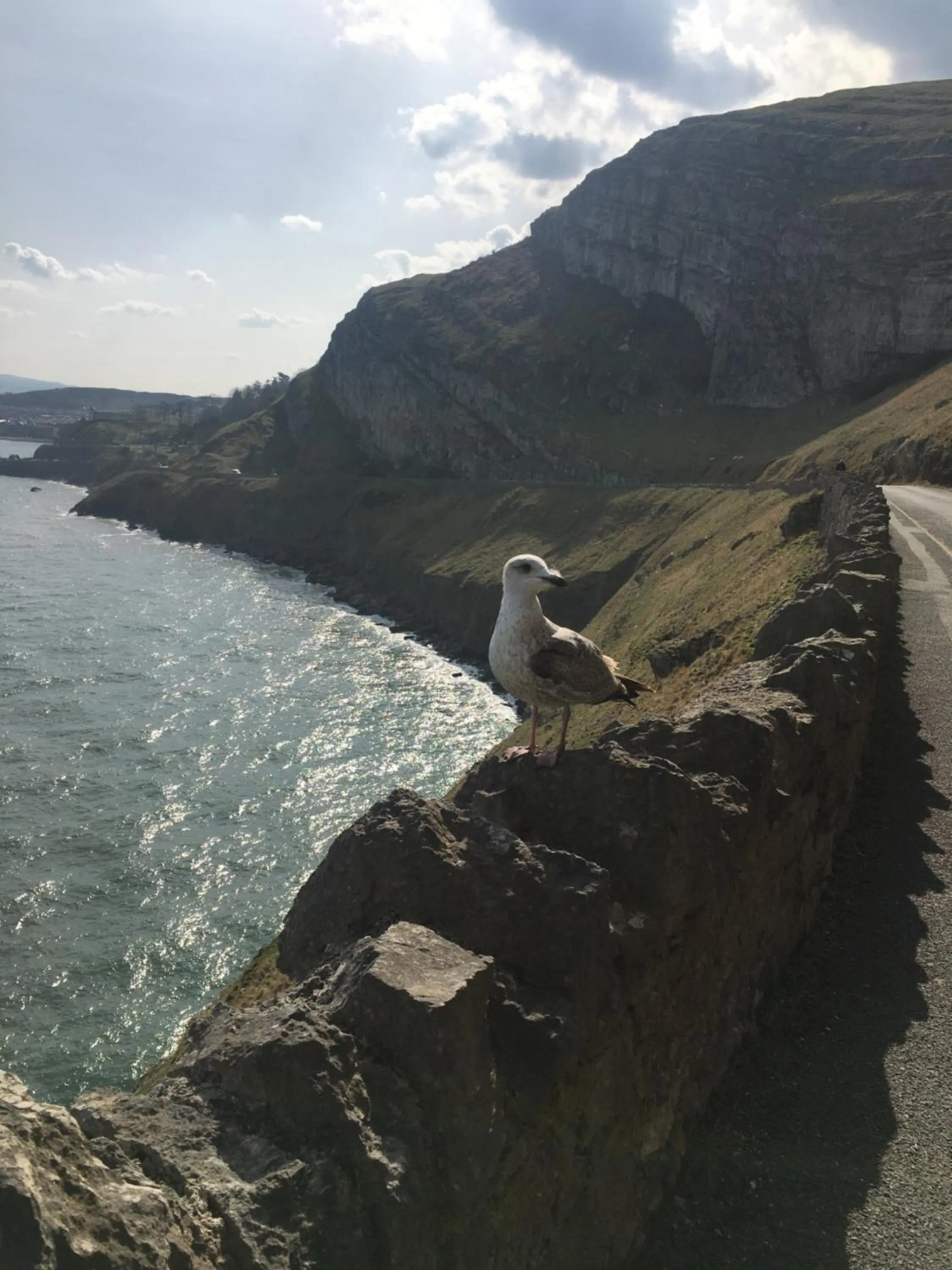 Hiking in Merrion Hotel