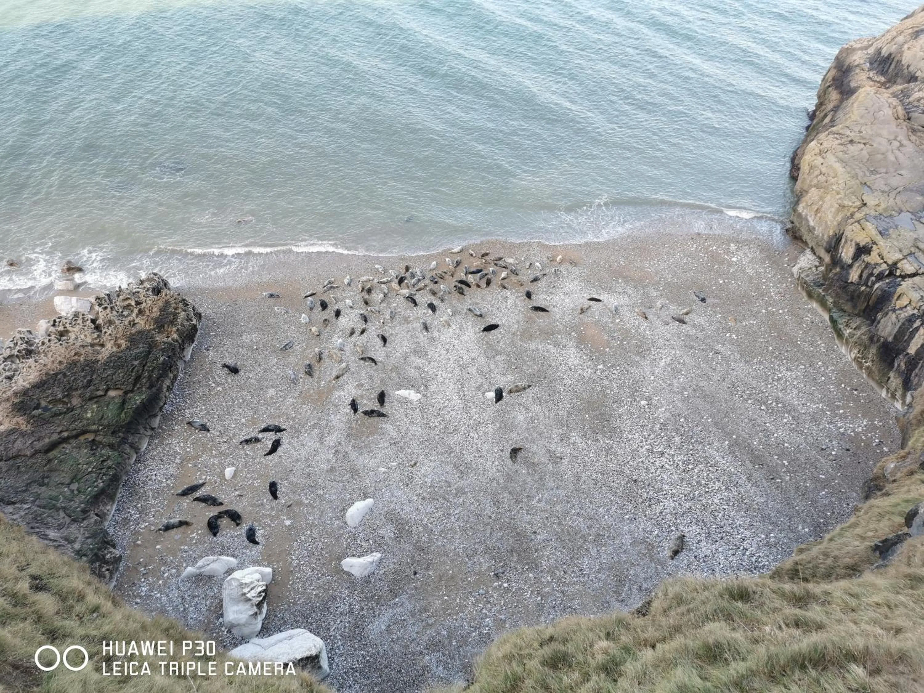 Natural landscape in Merrion Hotel