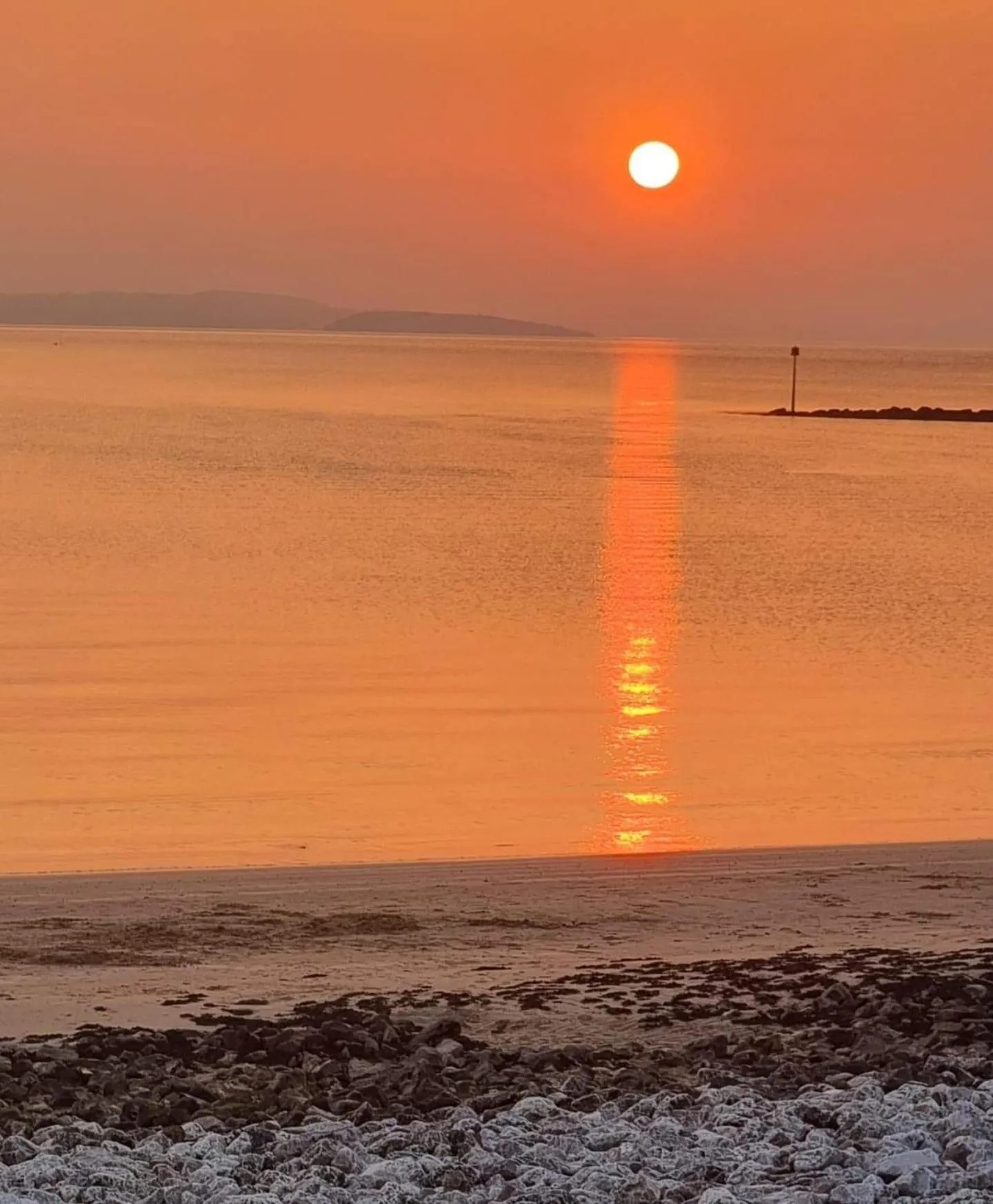 Natural landscape in Merrion Hotel