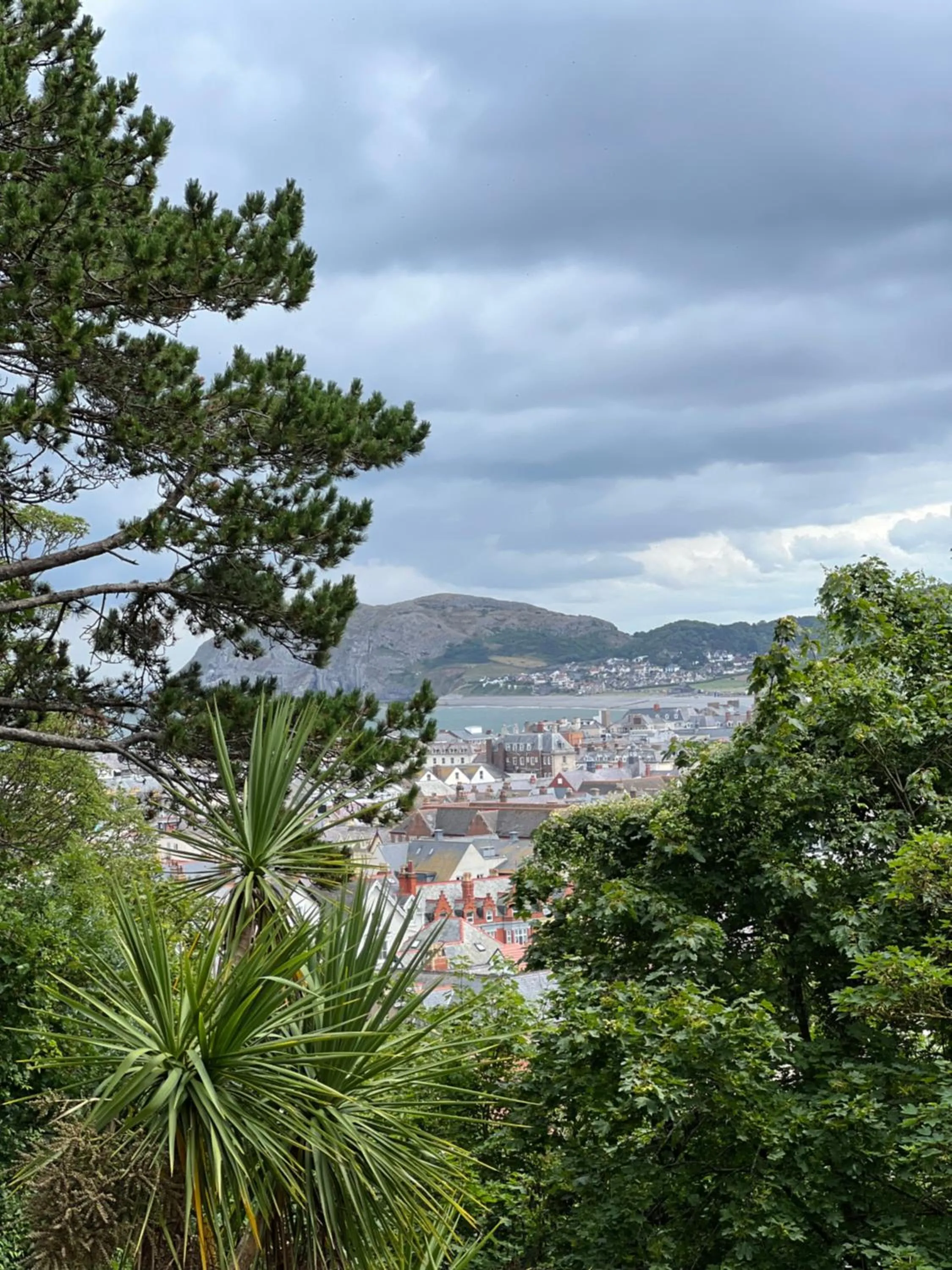 Natural landscape in Merrion Hotel