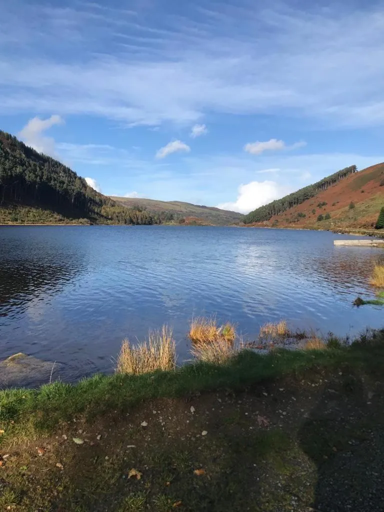 Natural landscape in Merrion Hotel