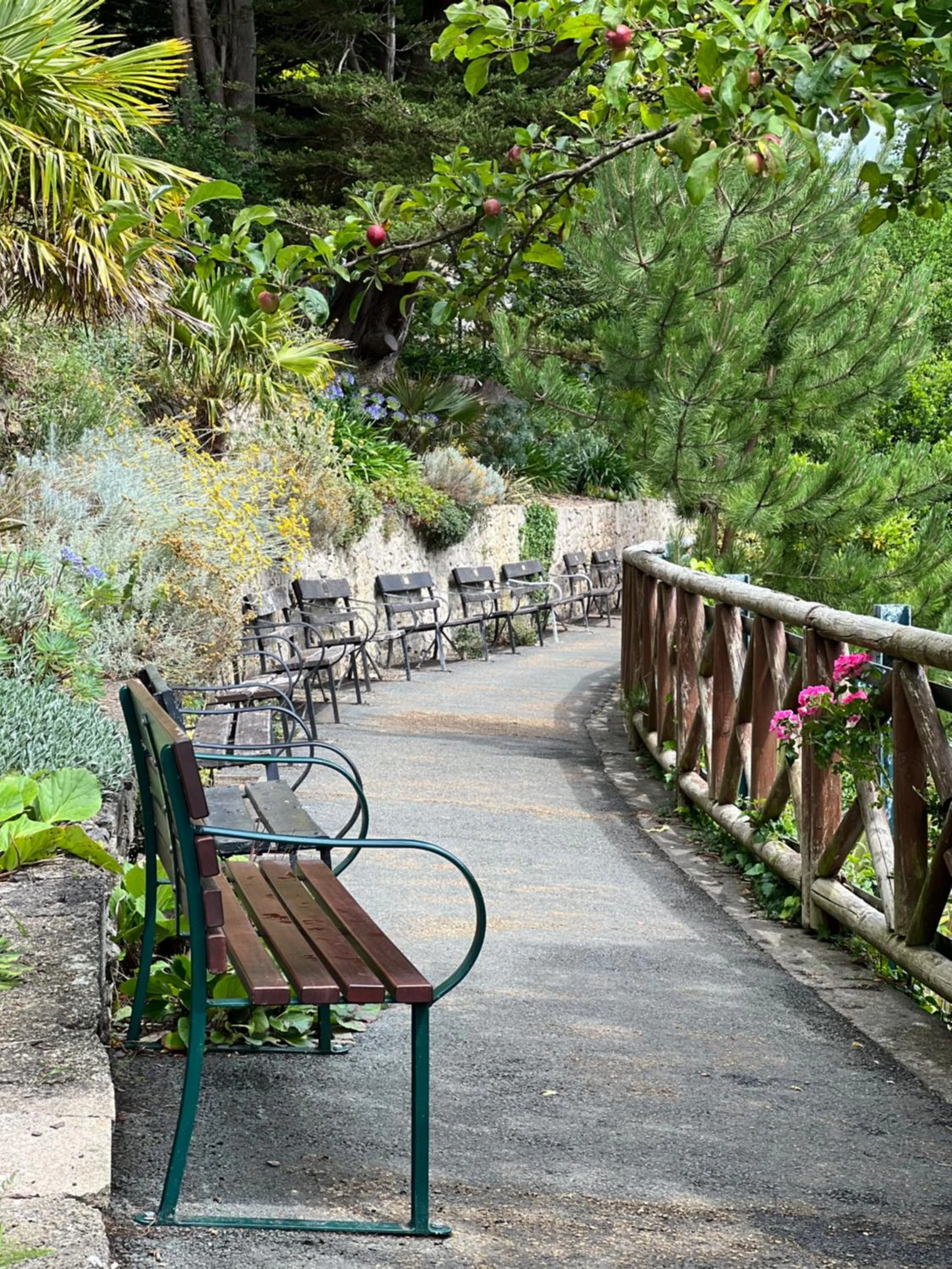 Natural landscape in Merrion Hotel