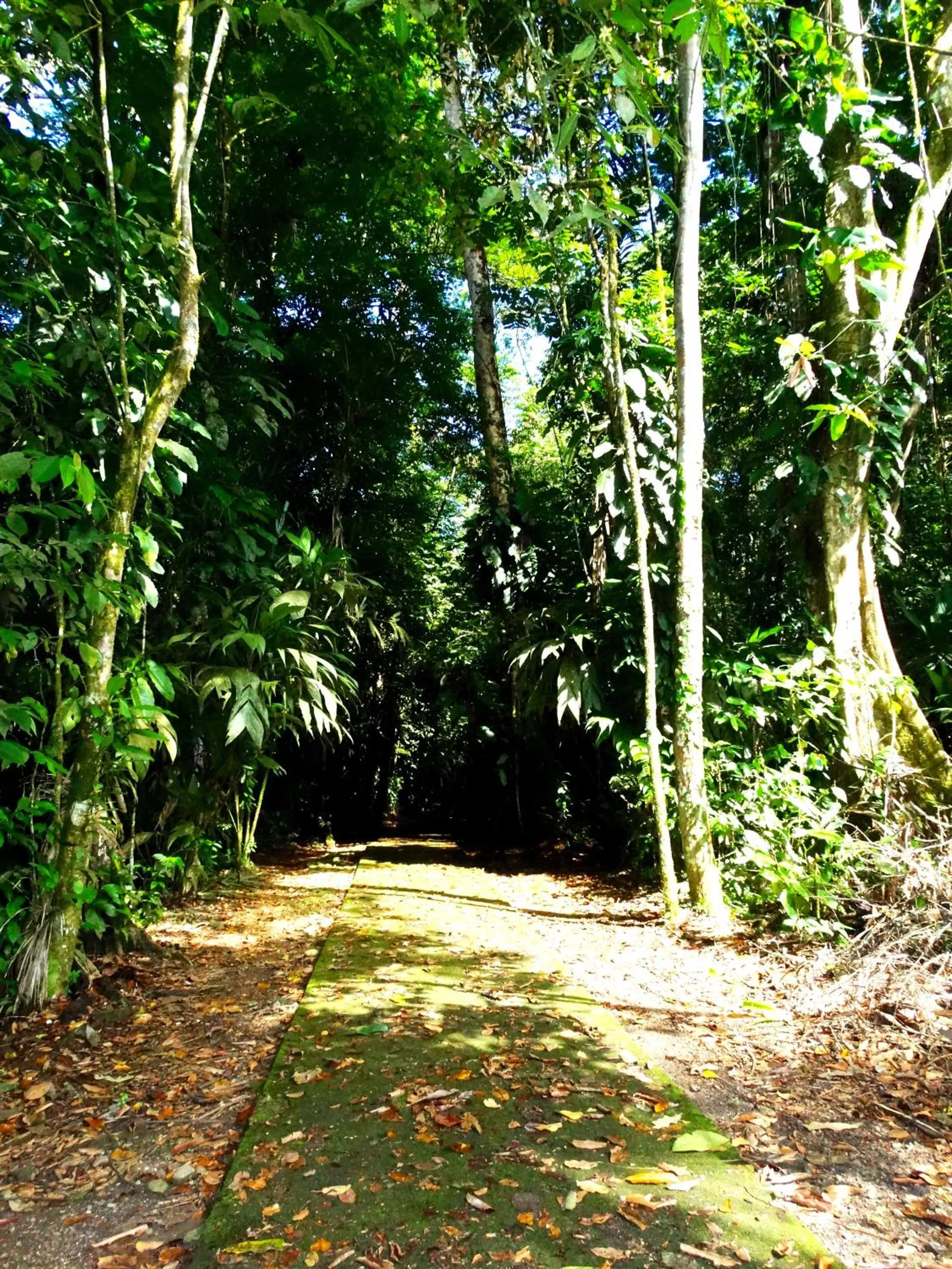Natural landscape in La Selva Biological Station