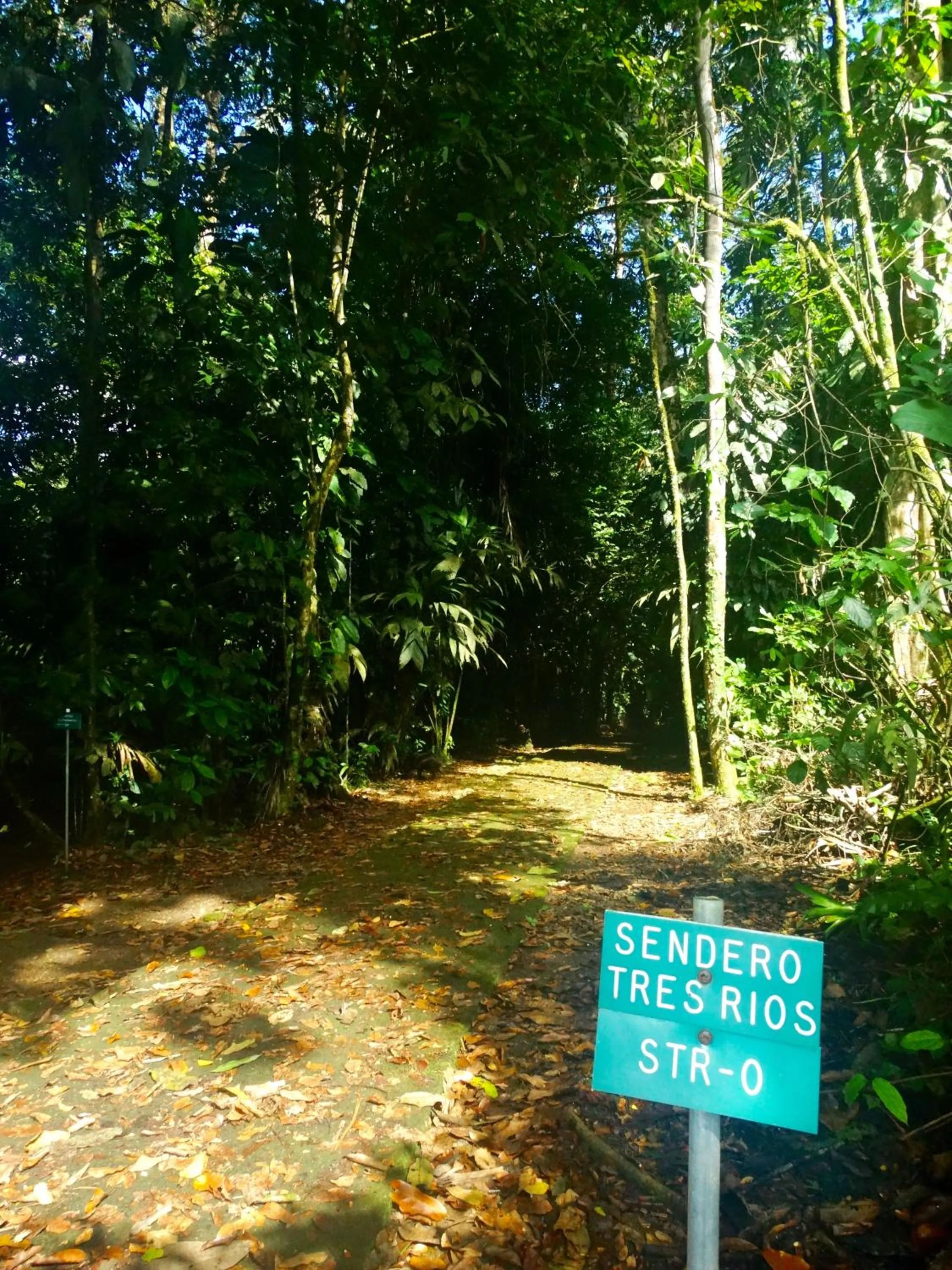 Garden in La Selva Biological Station
