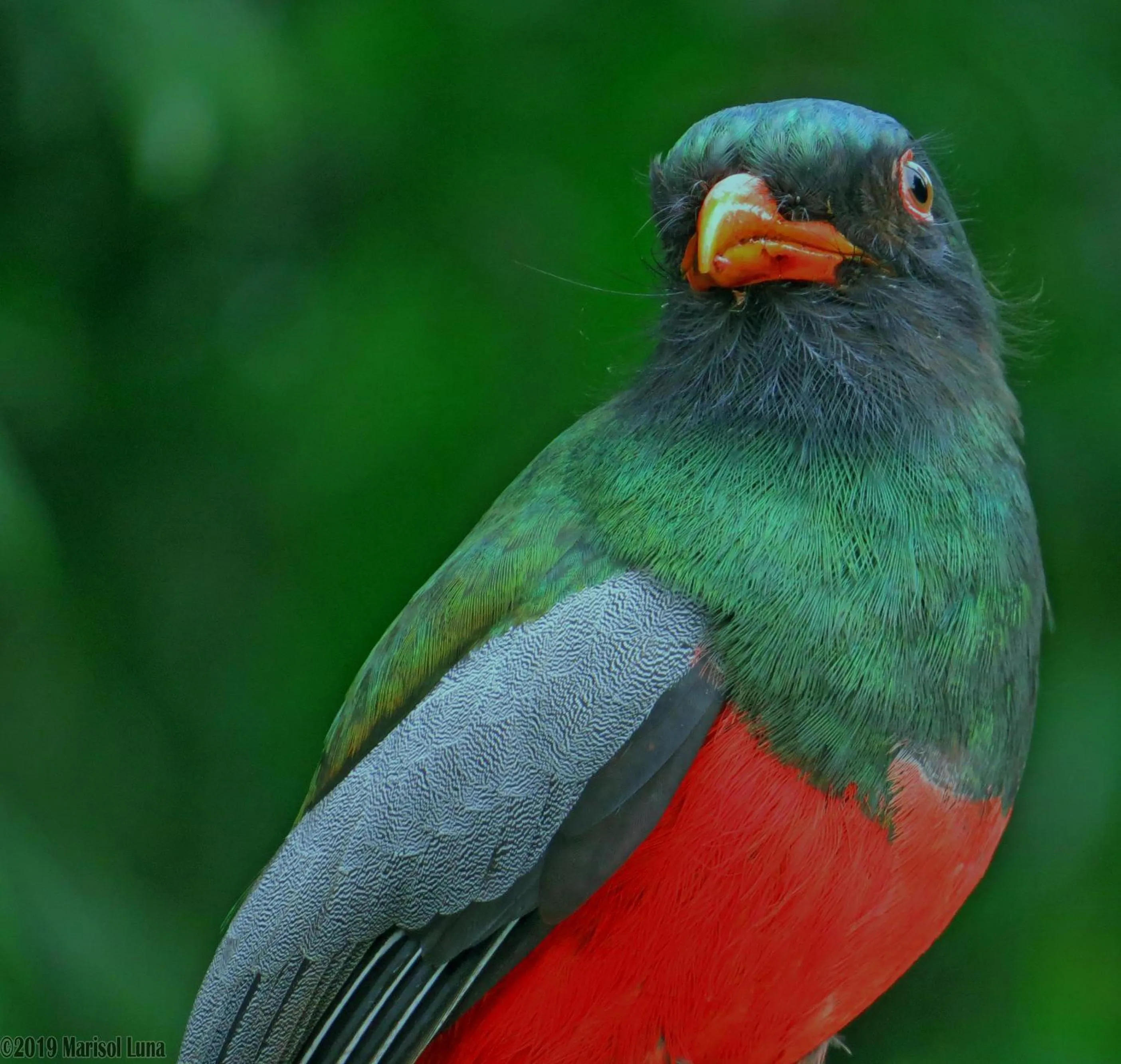 Hiking in La Selva Biological Station