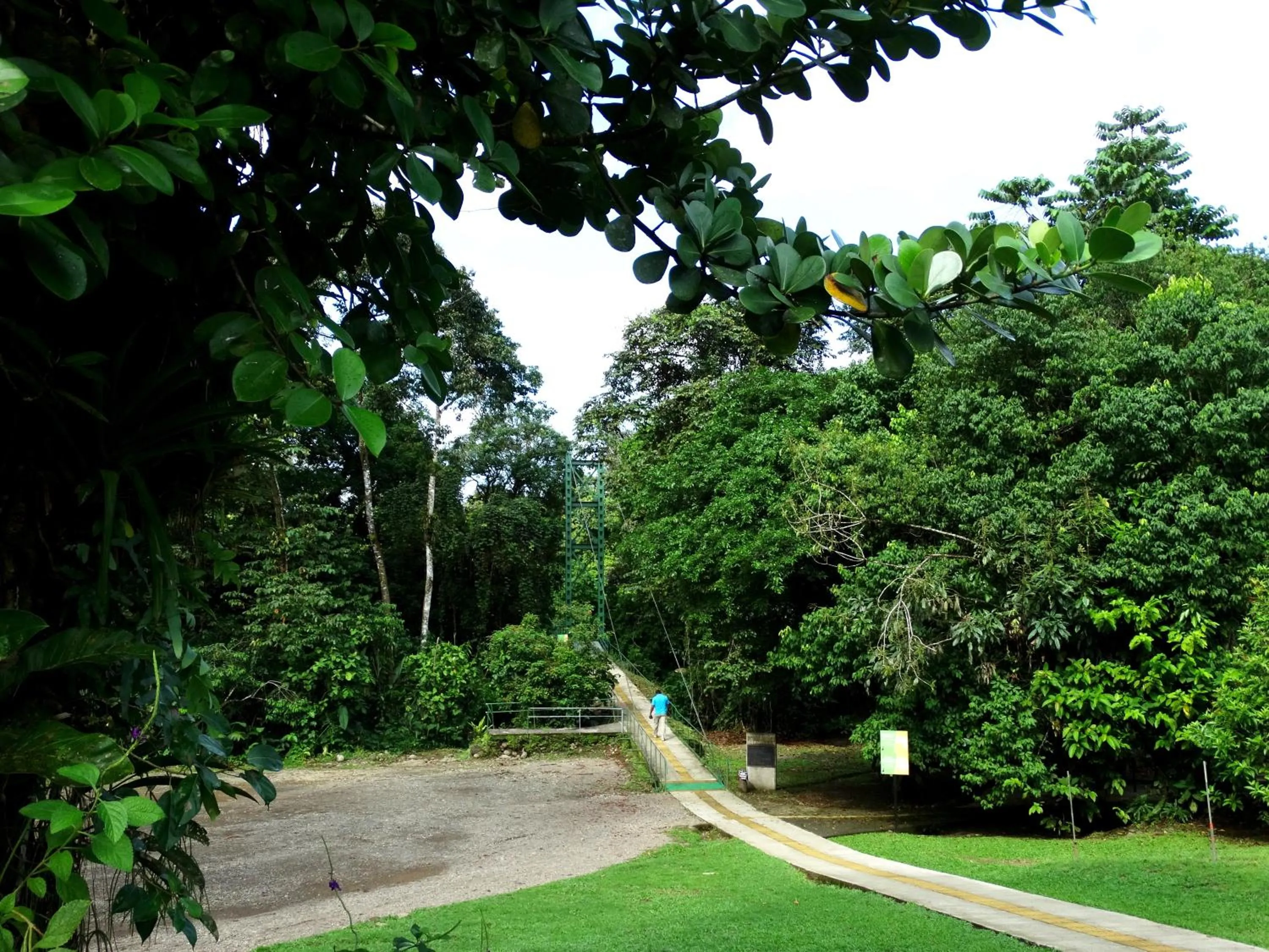 Garden in La Selva Biological Station