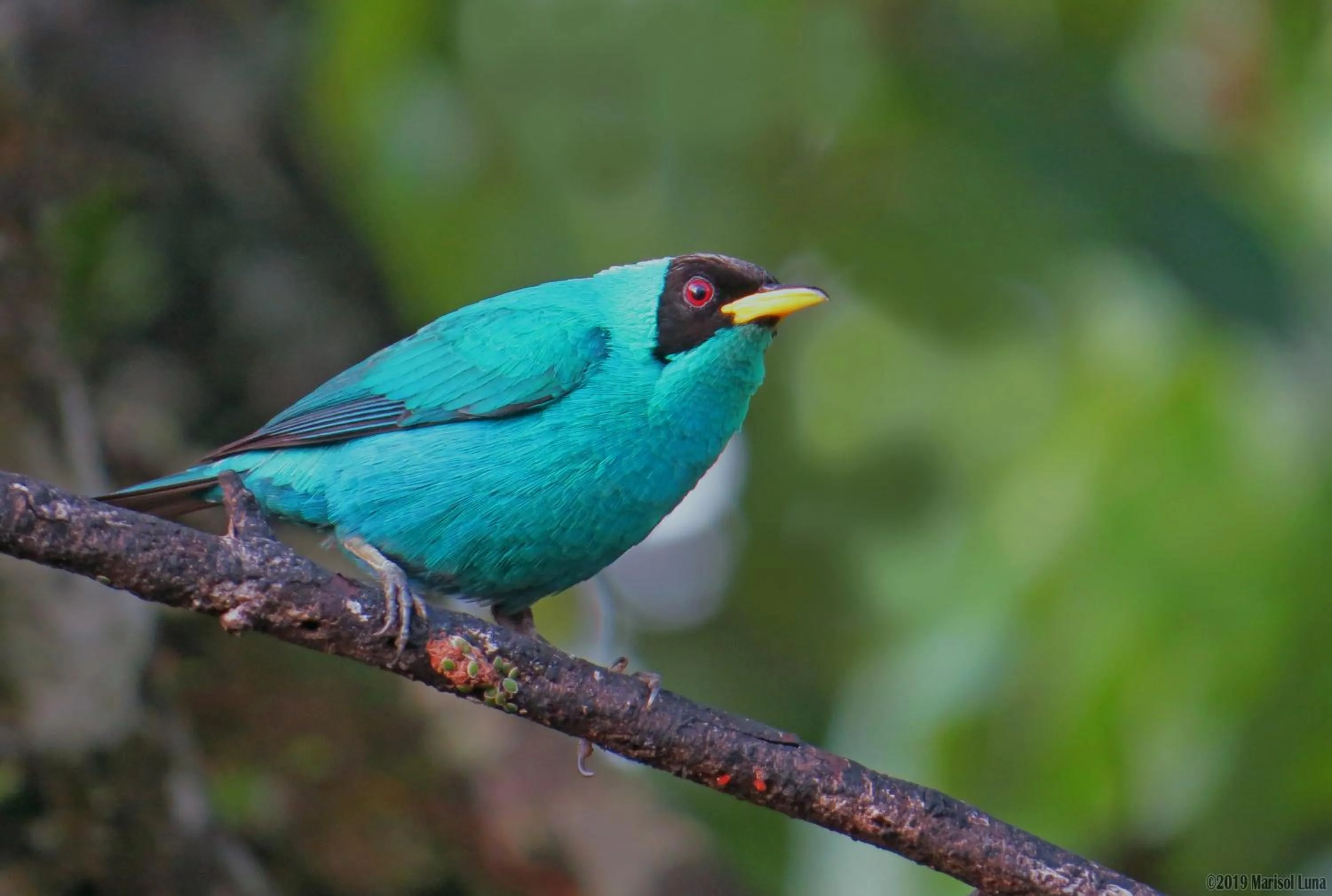 Activities in La Selva Biological Station