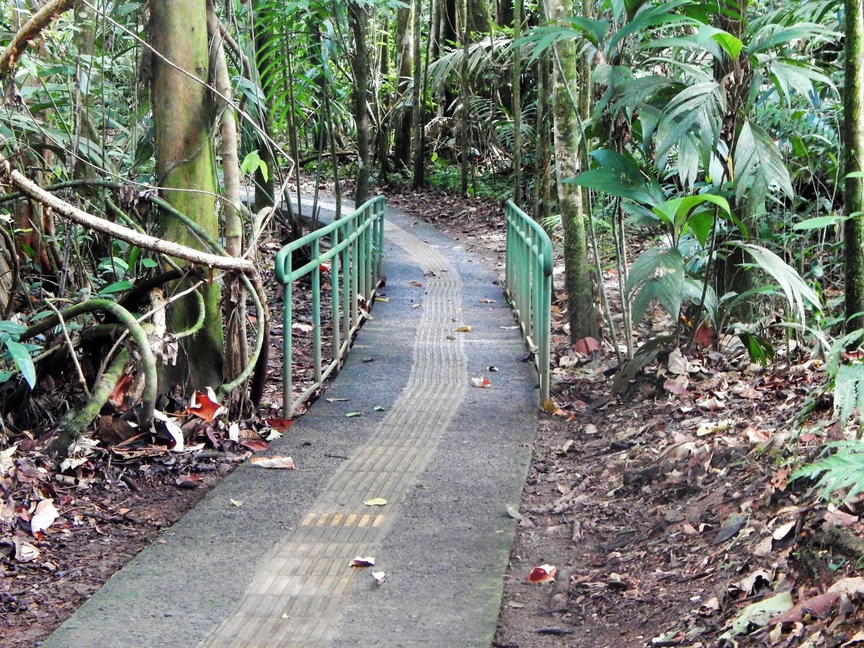 Hiking in La Selva Biological Station