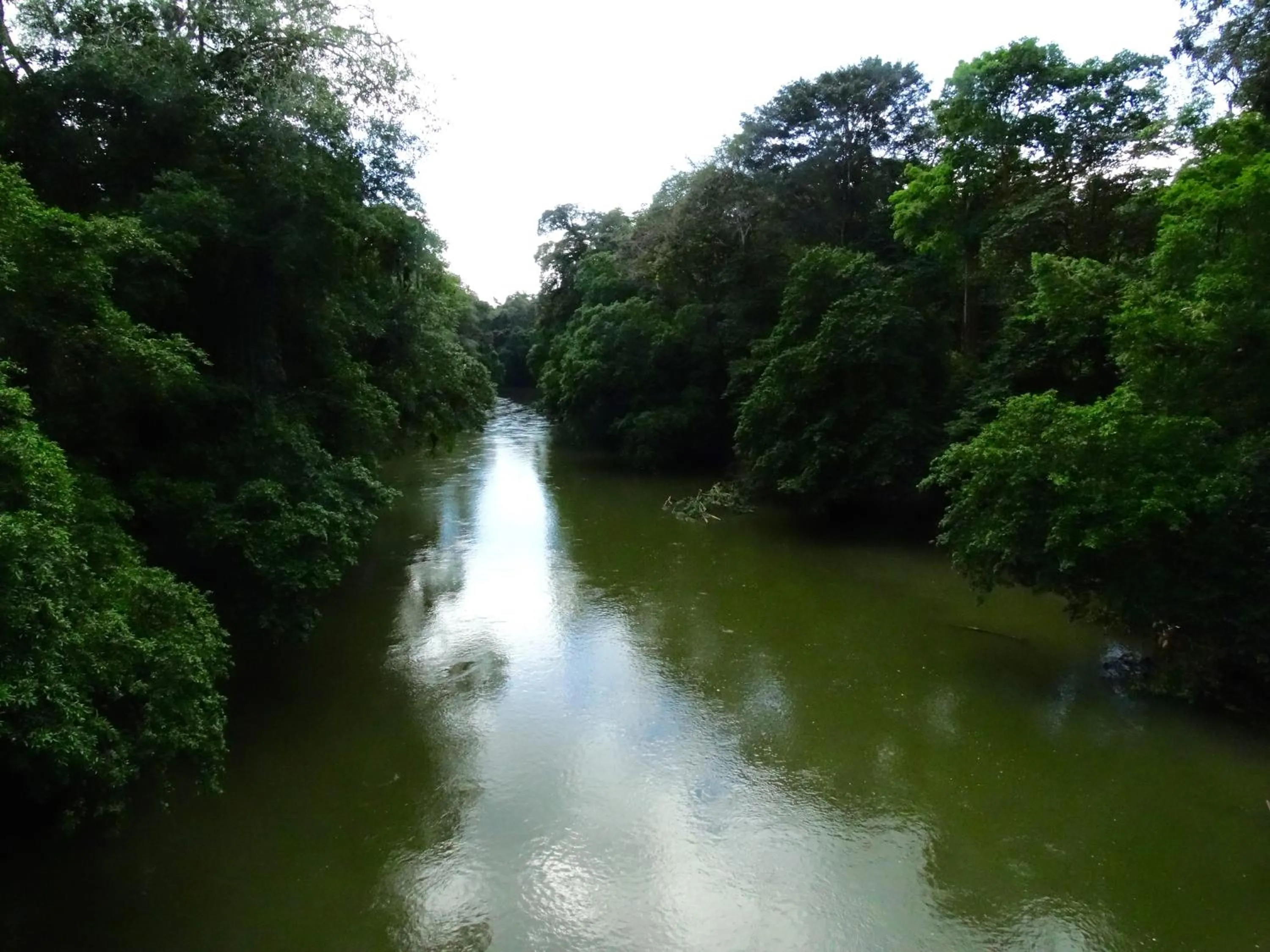 Natural landscape in La Selva Biological Station