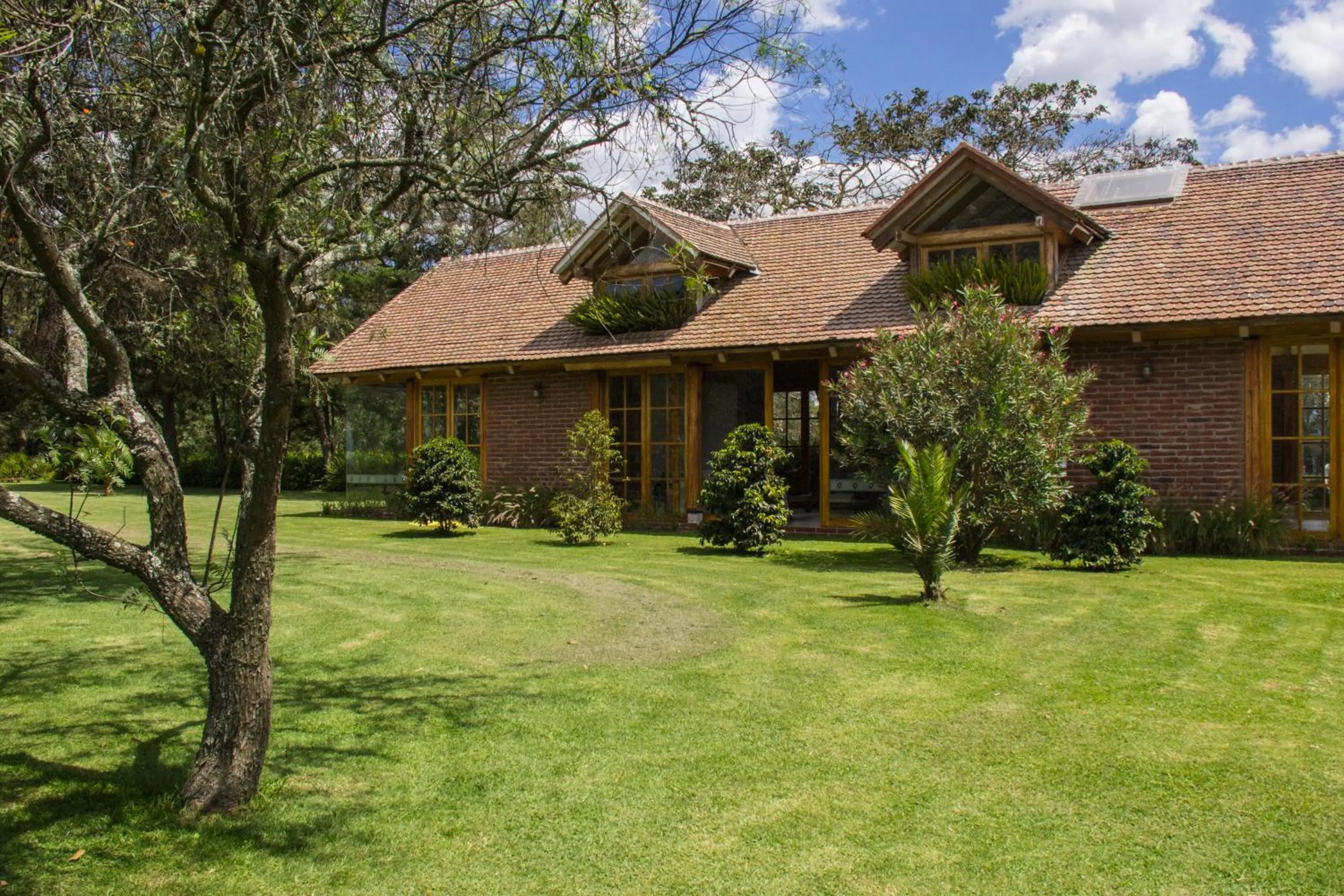 Garden in La Palma Polo Hotel - Airport Area