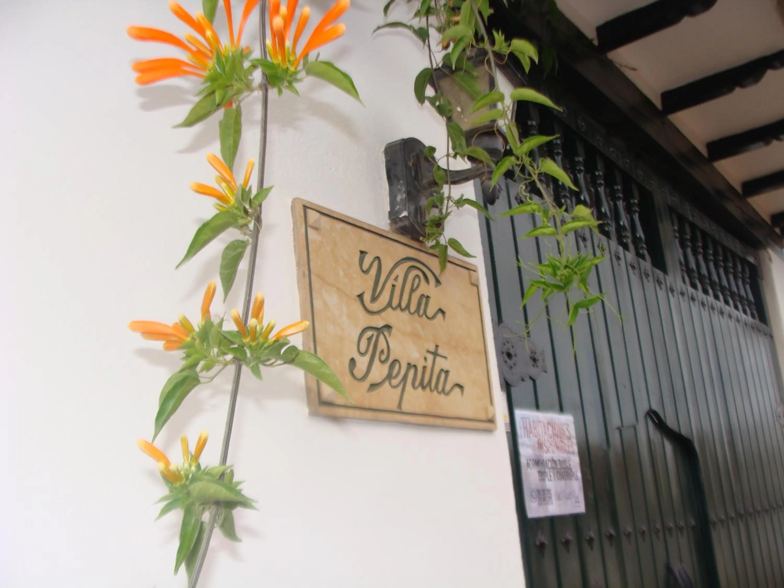 Villa Pepita Real
