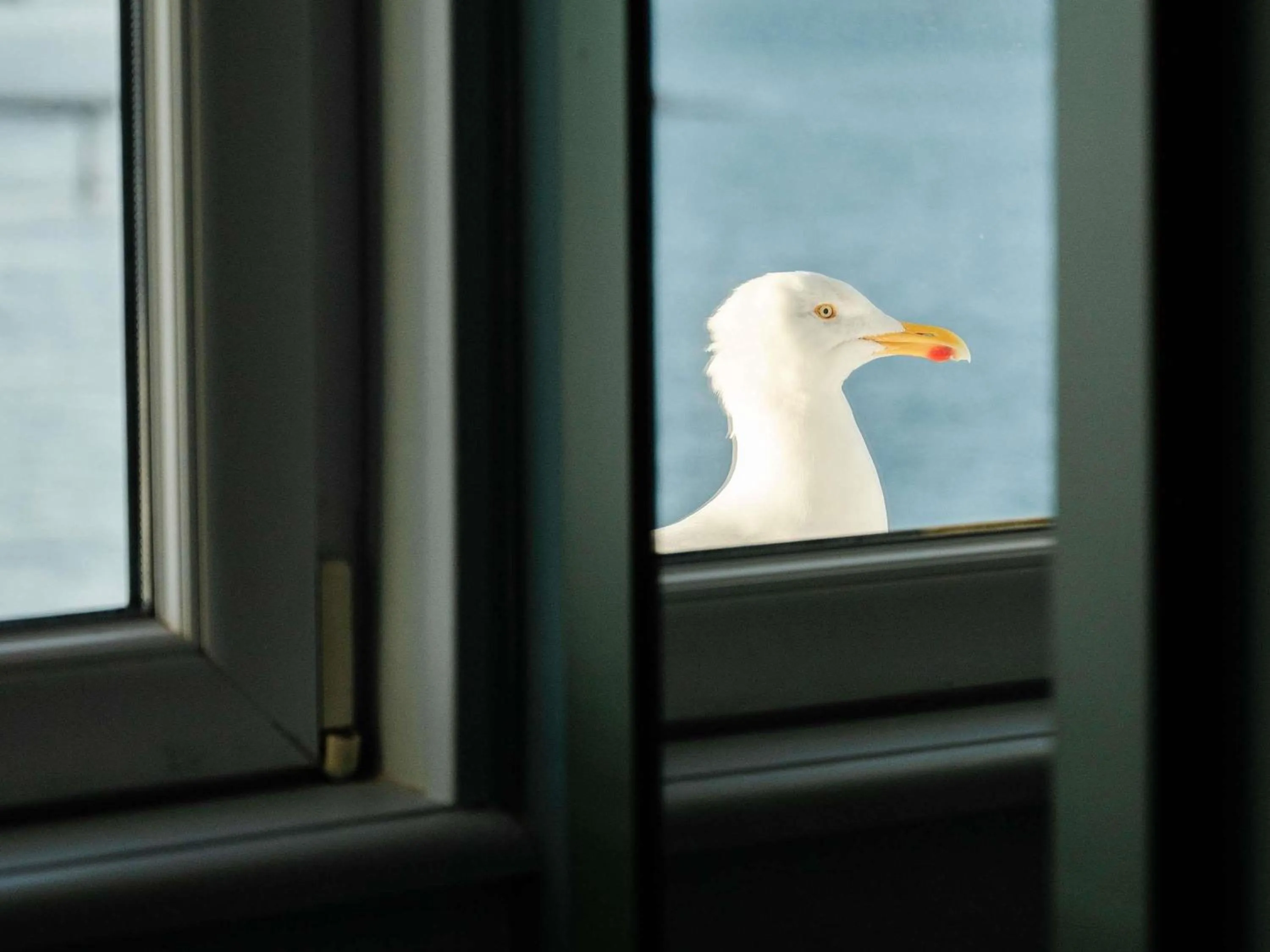 Bedroom in Hotel Mercure Roscoff Bord De Mer