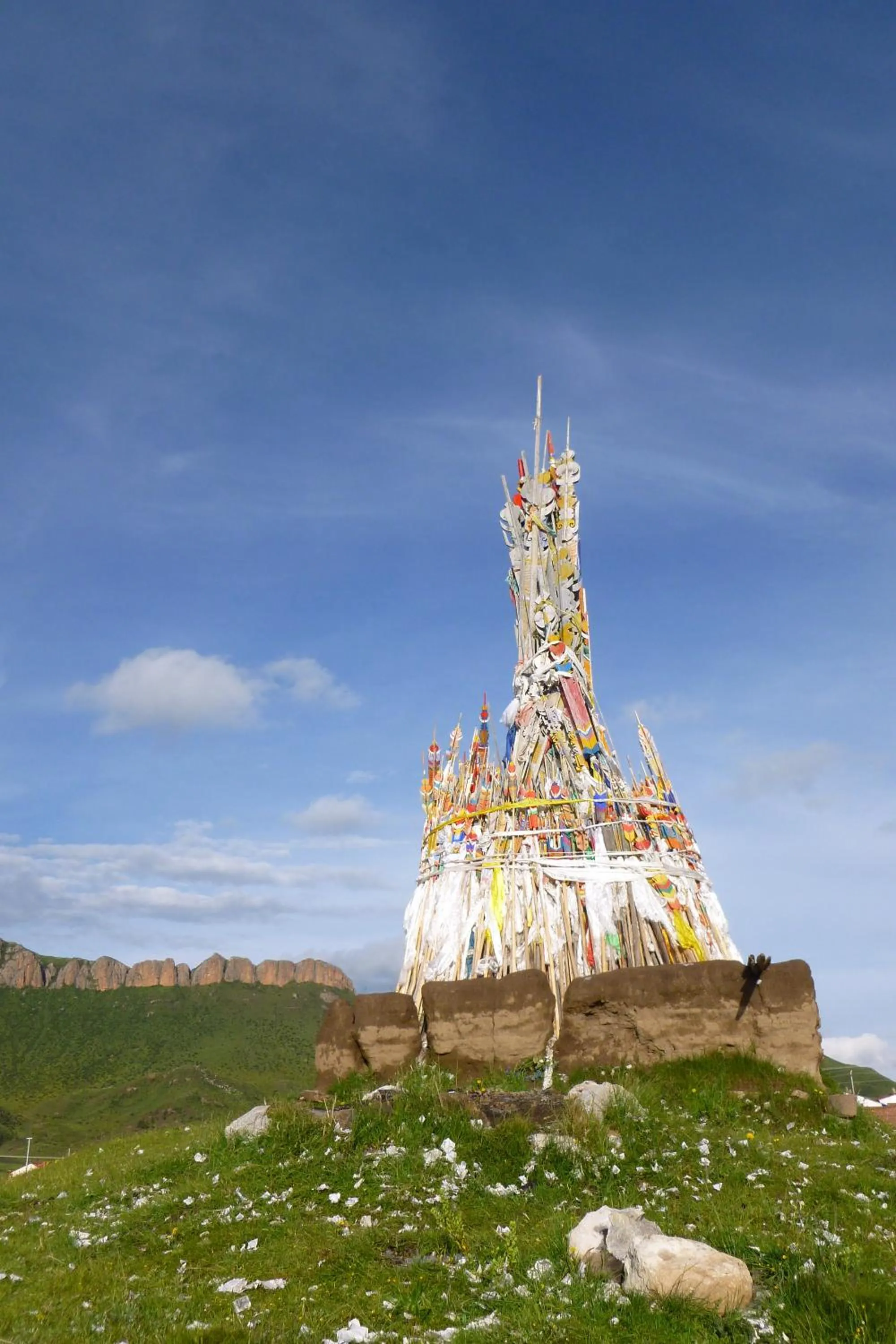 Other in Overseas Tibetan Hotel